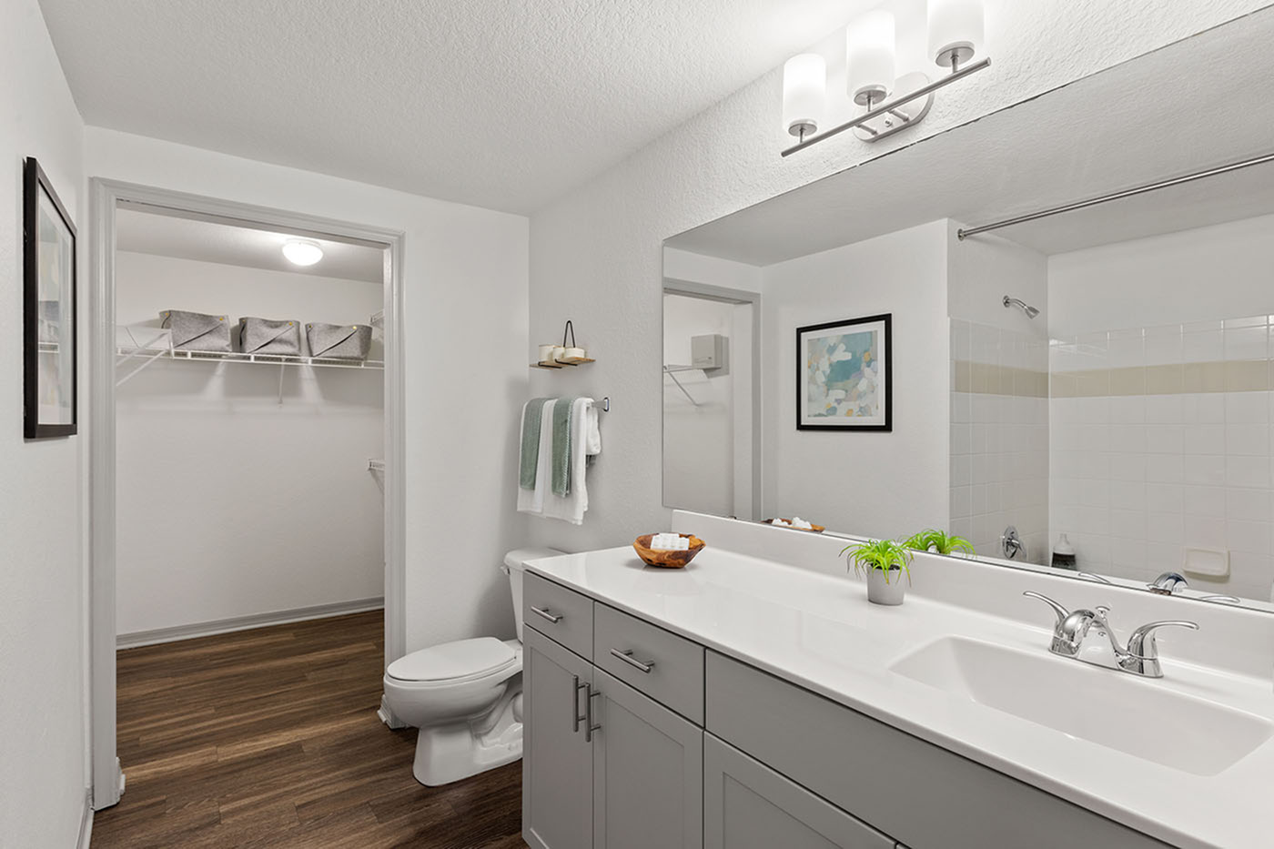 Modern bathroom showcasing sleek gray cabinetry, elegant lighting, and a spacious closet with stylish storage baskets.