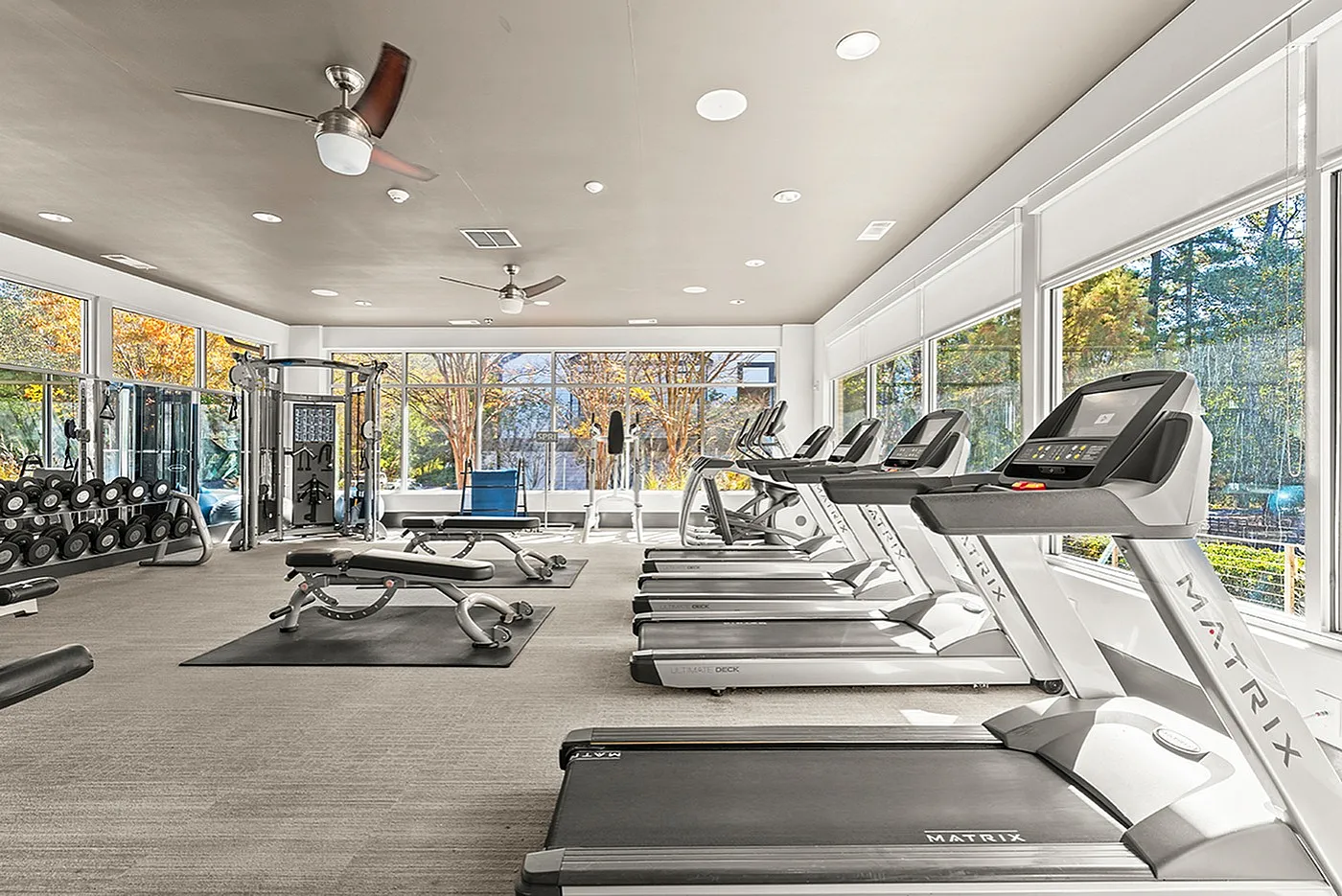State-of-the-art fitness center with modern treadmills, weight stations, and lush outdoor views.