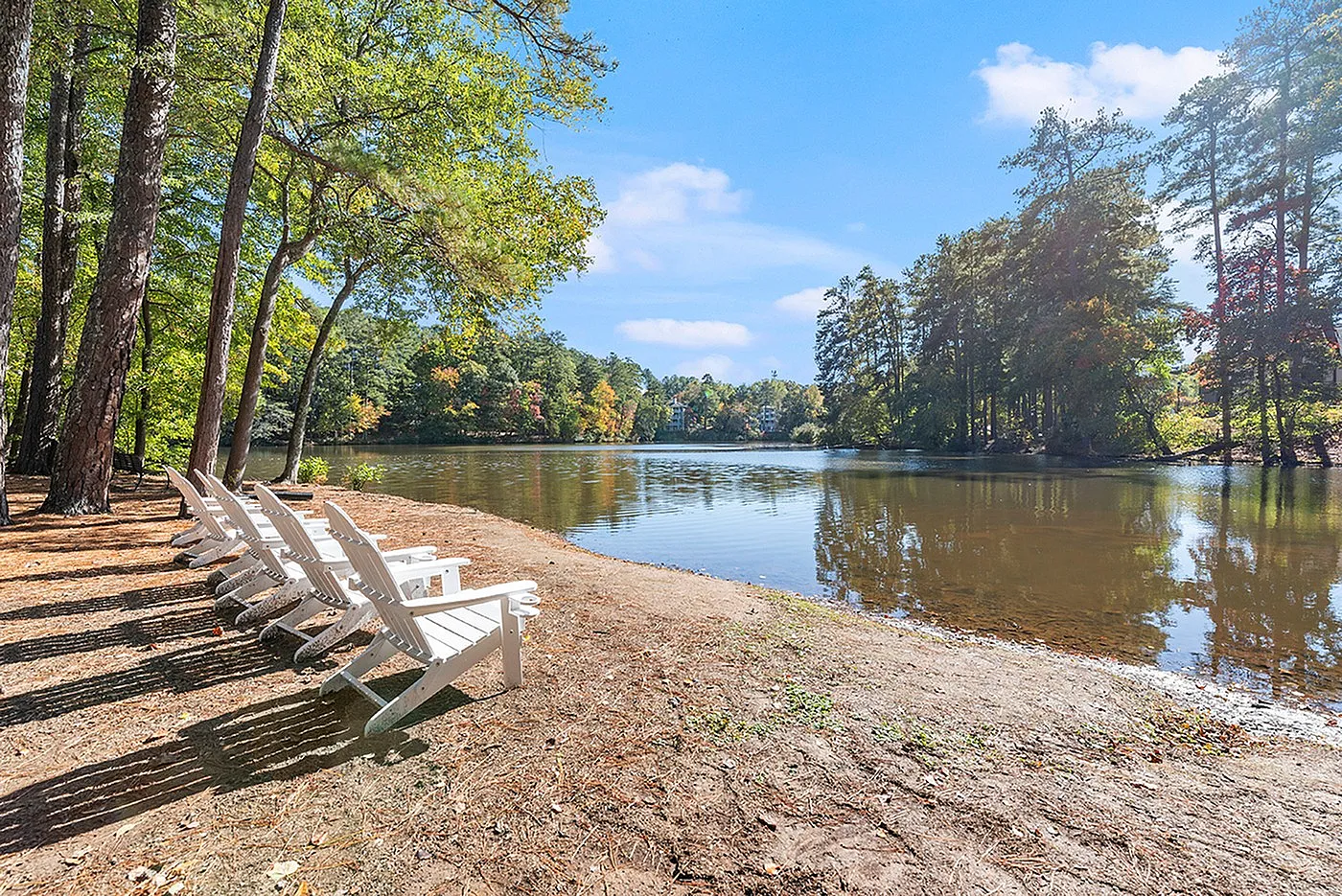 Tranquil lakeside scene featuring white Adirondack chairs under tall trees, perfect for relaxing and enjoying nature's beauty.