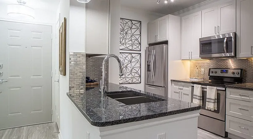 Elegant modern kitchen with sleek granite countertops, stainless steel appliances, and stylish cabinetry.