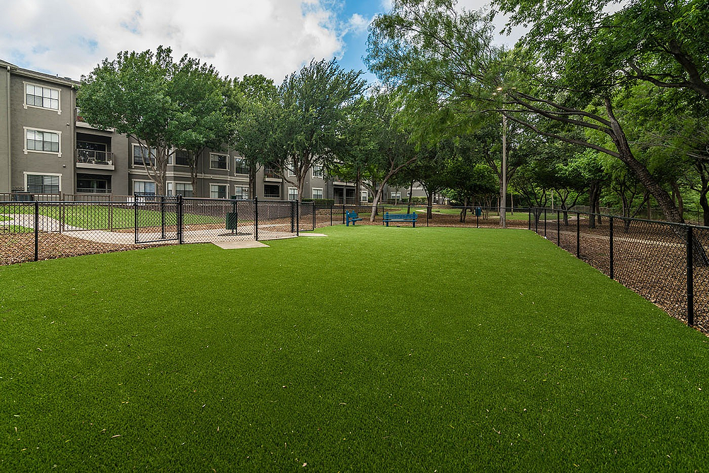 Serene apartment community with lush green lawn, cozy benches, and shaded pathways surrounded by mature trees.