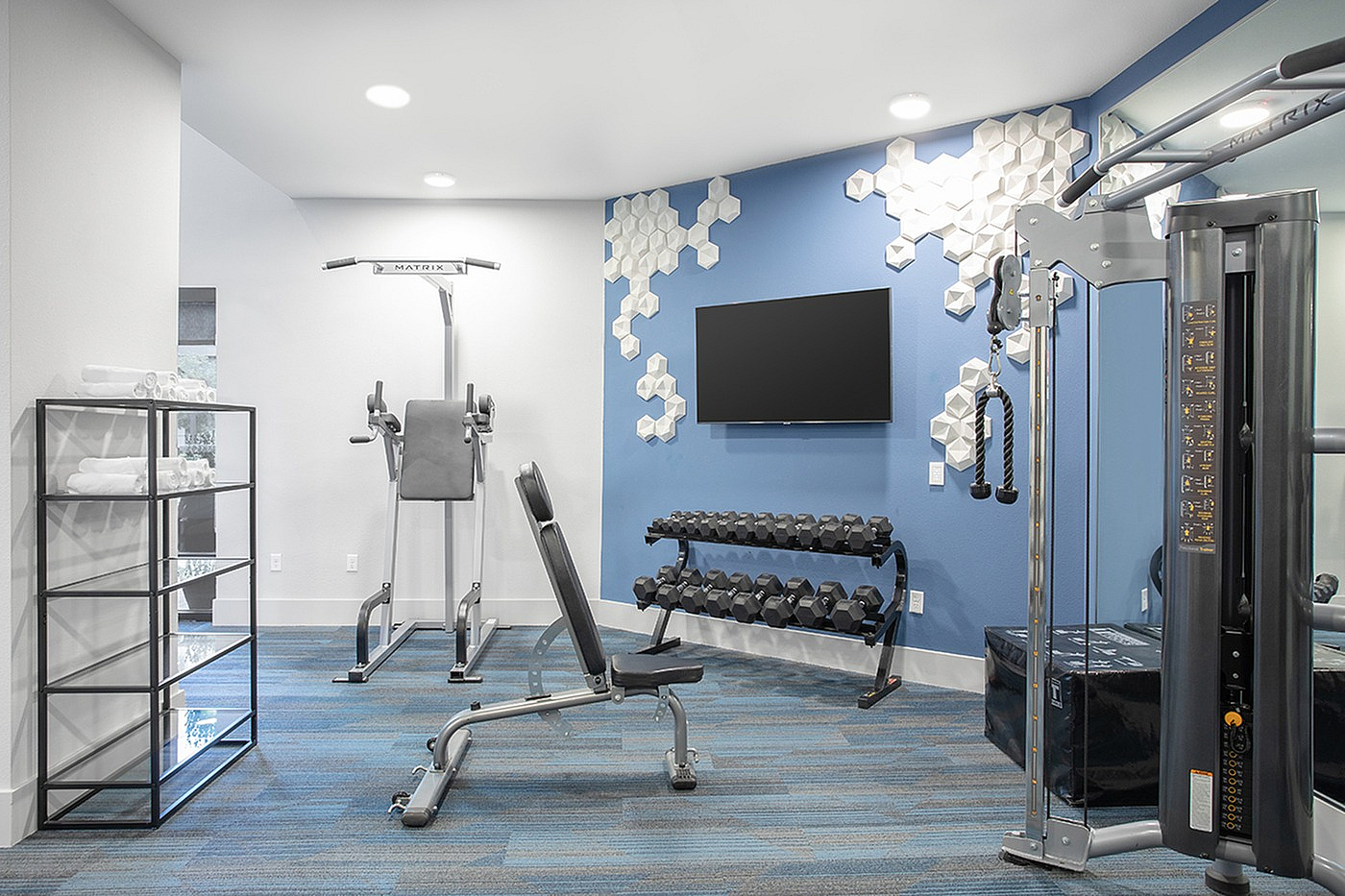 Modern apartment gym with state-of-the-art equipment, blue accent wall, and sleek design, perfect for fitness enthusiasts.