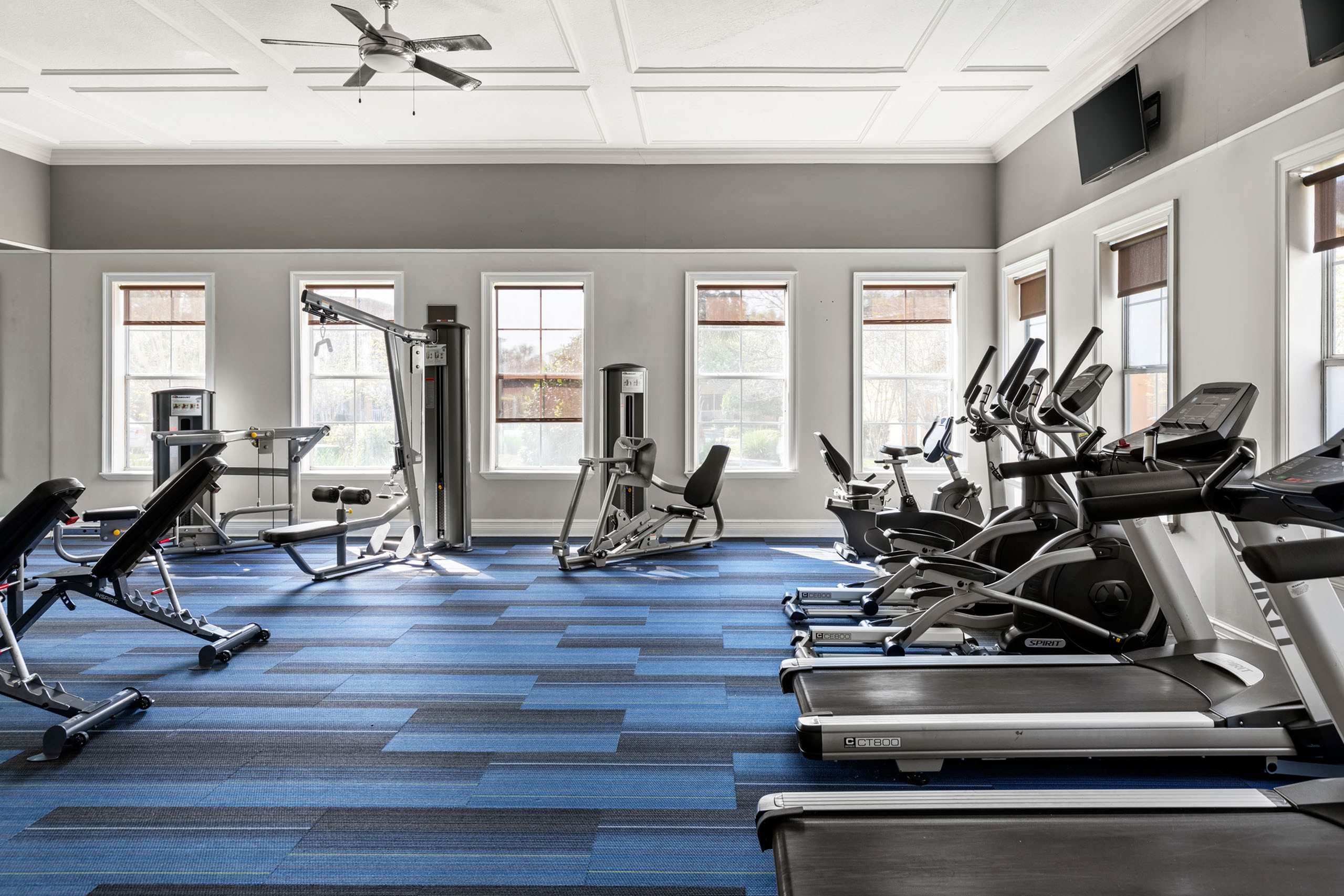Modern fitness center featuring state-of-the-art exercise equipment, expansive windows, and vibrant blue flooring for an energized workout experience.