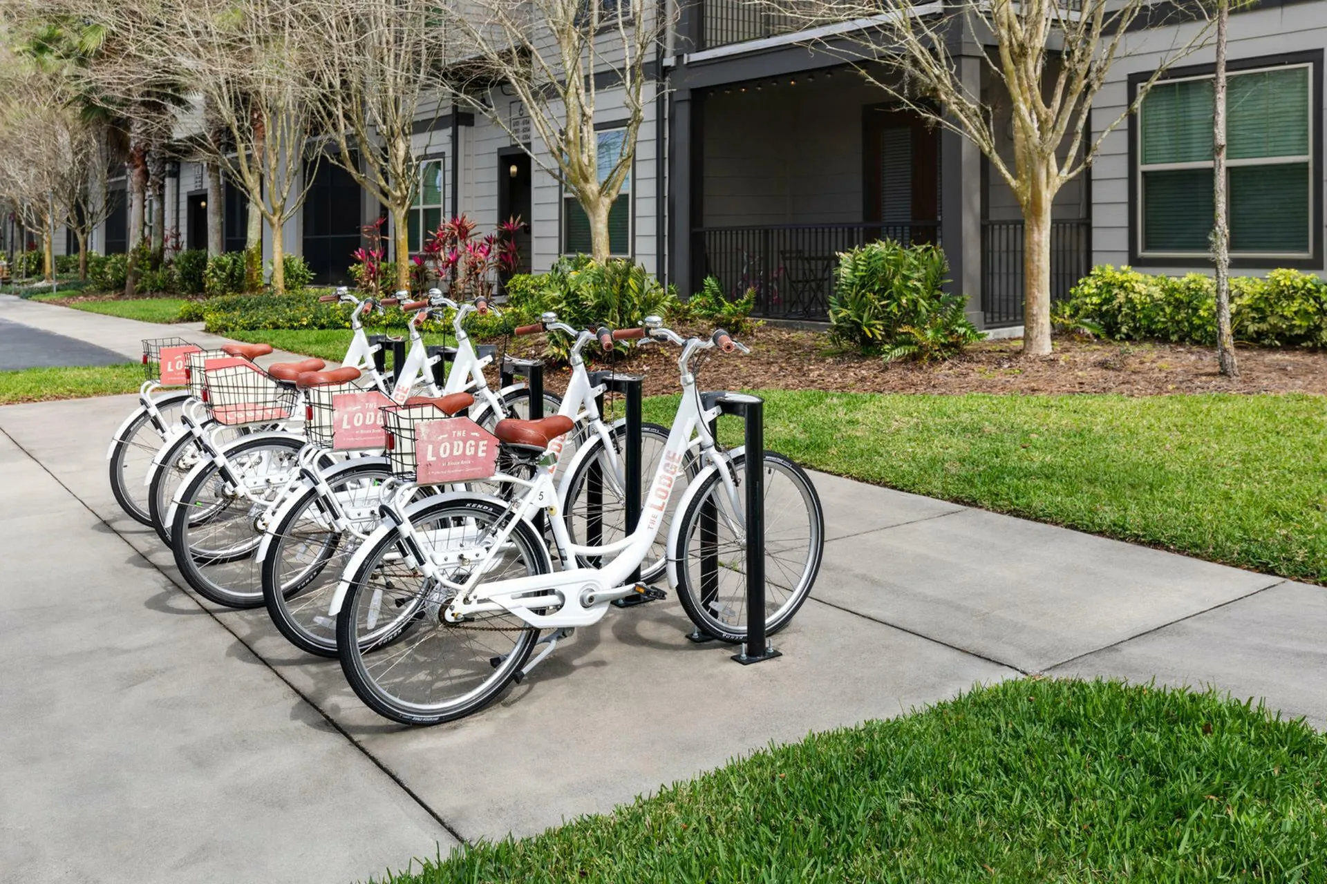 Charming apartment entrance with a dedicated bike rack and lush landscaping, ideal for an active lifestyle.