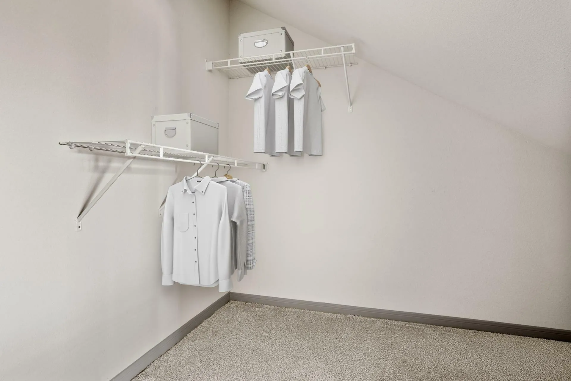 Spacious walk-in closet with hanging clothes and organized shelving, featuring ample storage space and plush carpeting.
