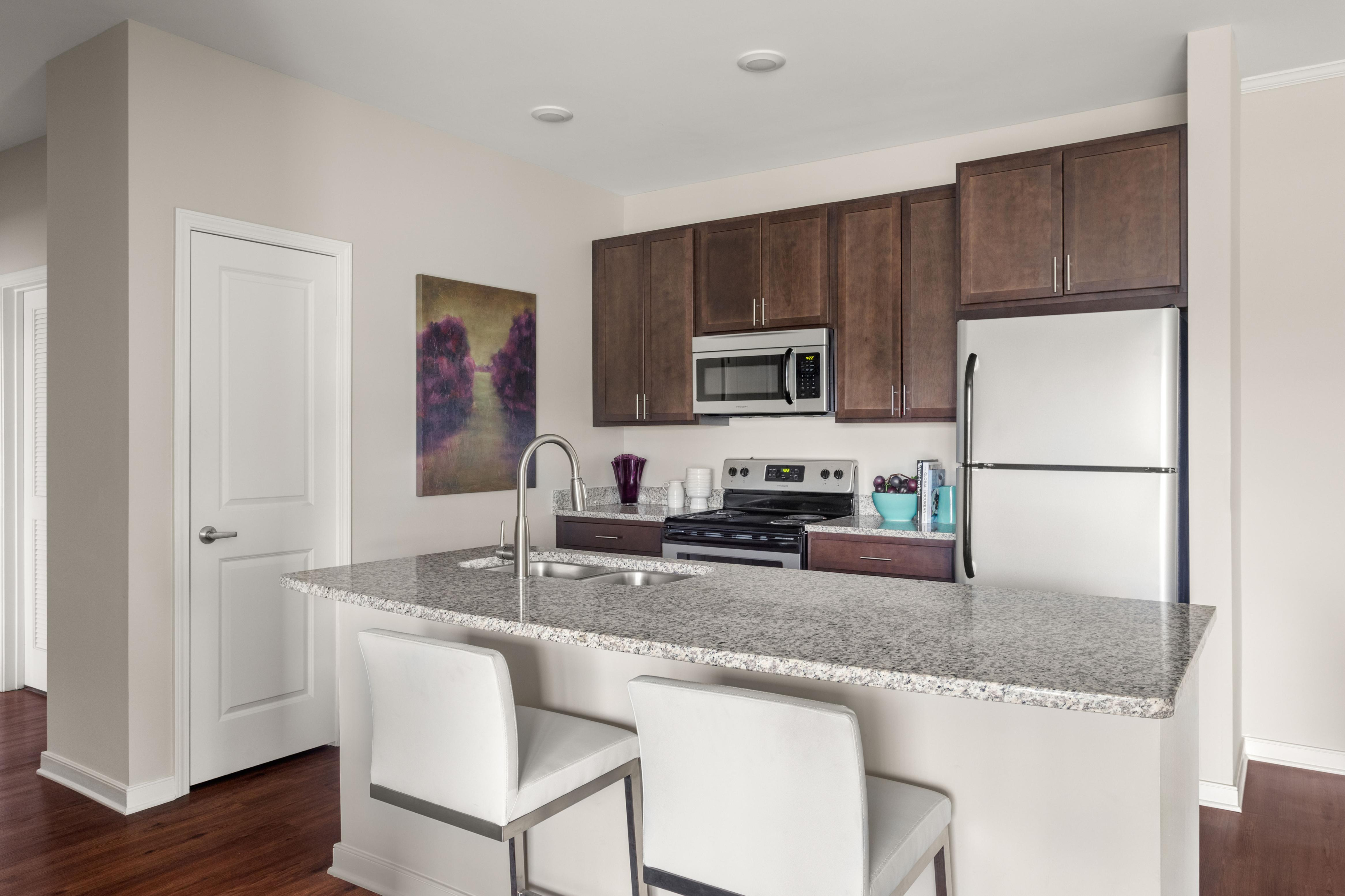 Modern kitchen with sleek granite countertops, stainless steel appliances, and elegant dark wood cabinetry, accented by a vibrant wall painting.