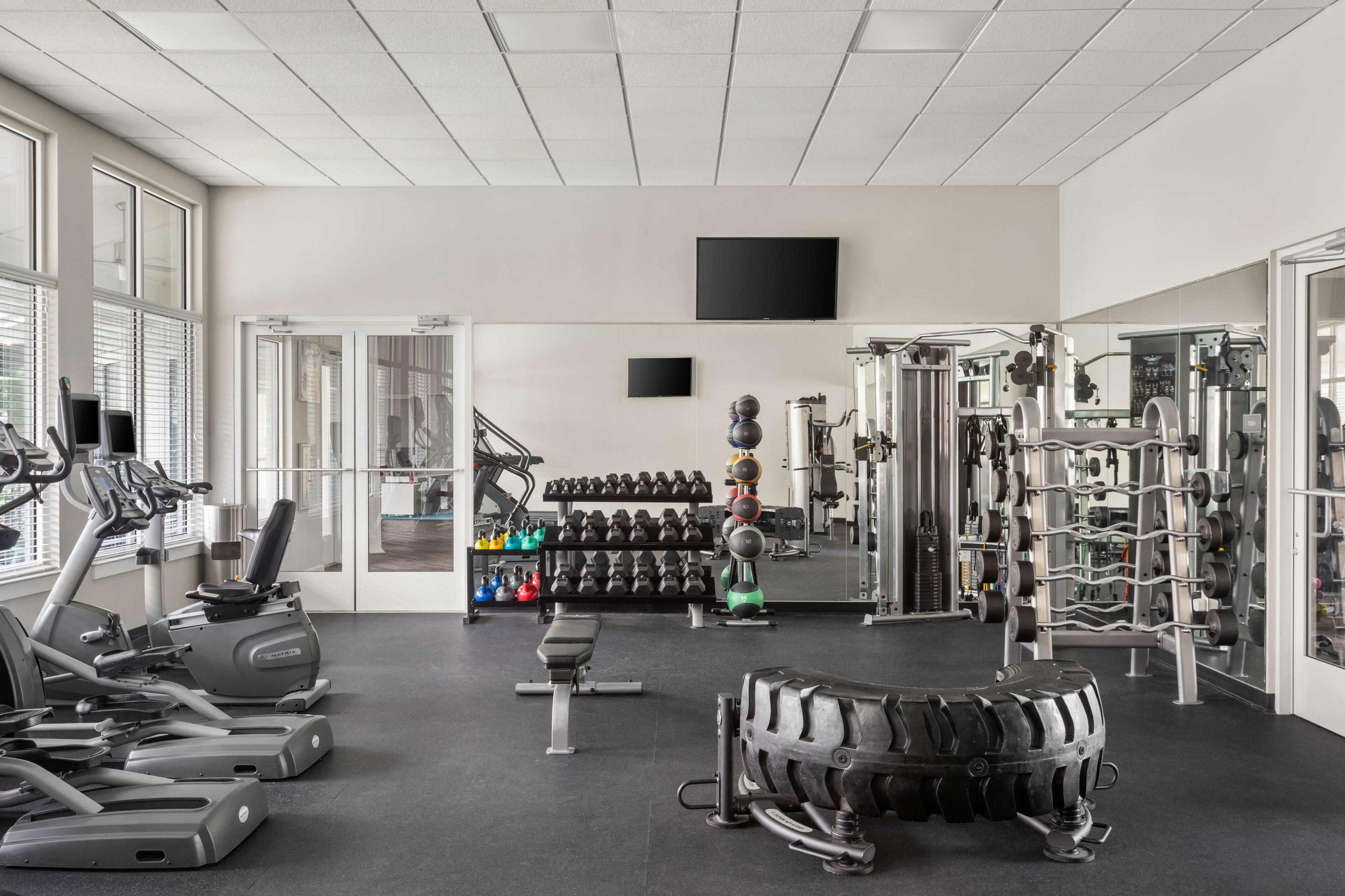 Bright apartment gym with modern treadmills, extensive free weights, slick machines, and a vibrant workout atmosphere.