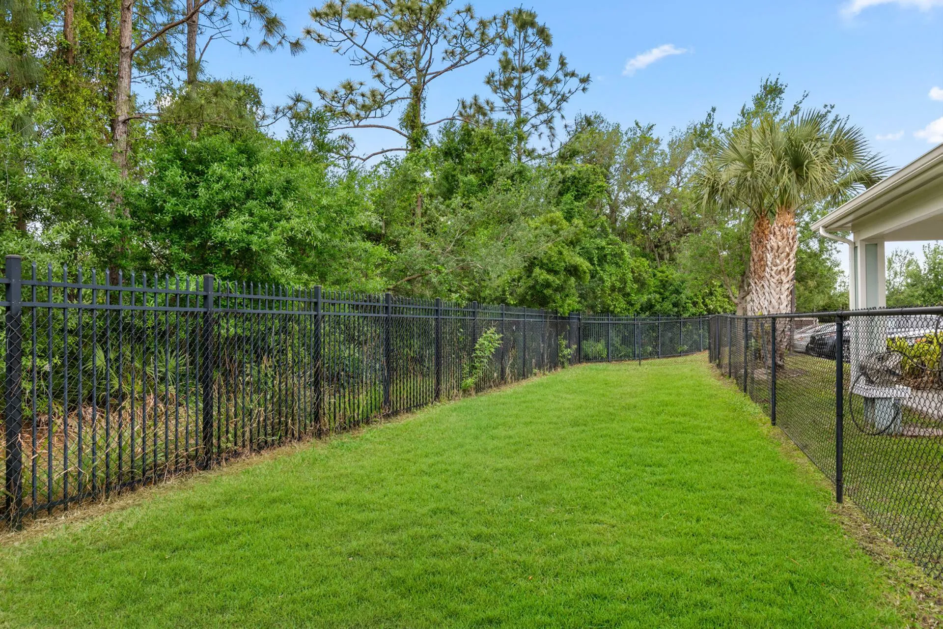 Charming backyard view with lush greenery, sleek black fence, and vibrant lawn, perfect for relaxation and outdoor activities.