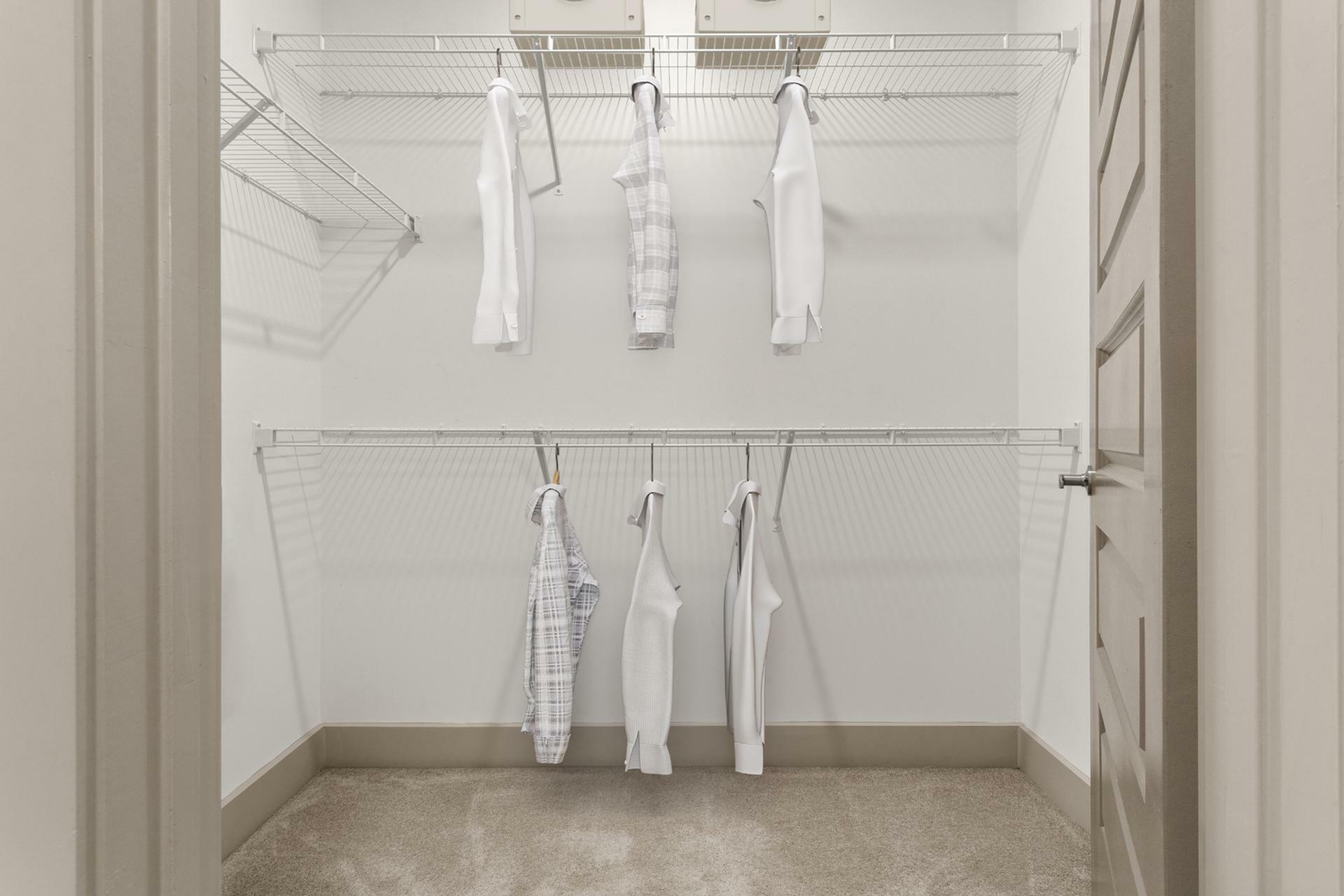 Spacious walk-in closet with ample shelving, neatly arranged clothing, and a plush carpet floor.