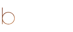 The Blake logo