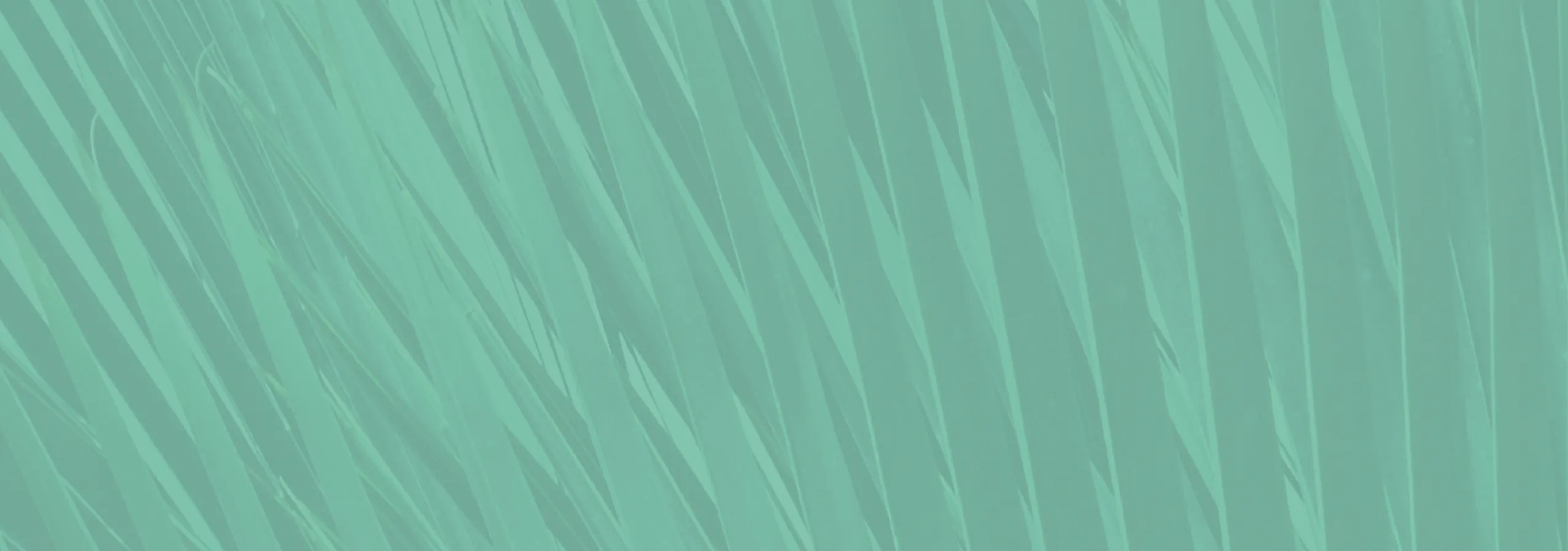 Close-up view of turquoise palm leaf textures creating a vibrant pattern
