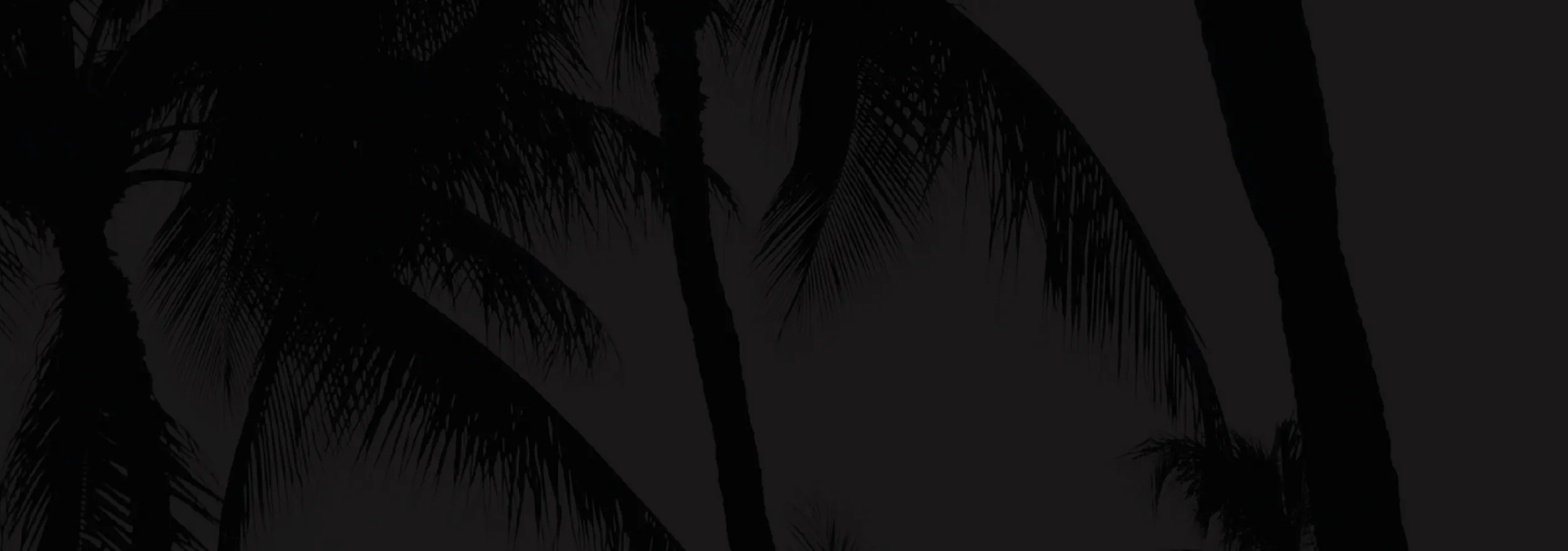Silhouette of palm trees against a dark, dusky sky, creating a serene tropical atmosphere.