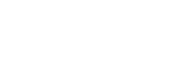 Sleek logo design for Bower Westside featuring elegant lettering and minimalist leaf accents.