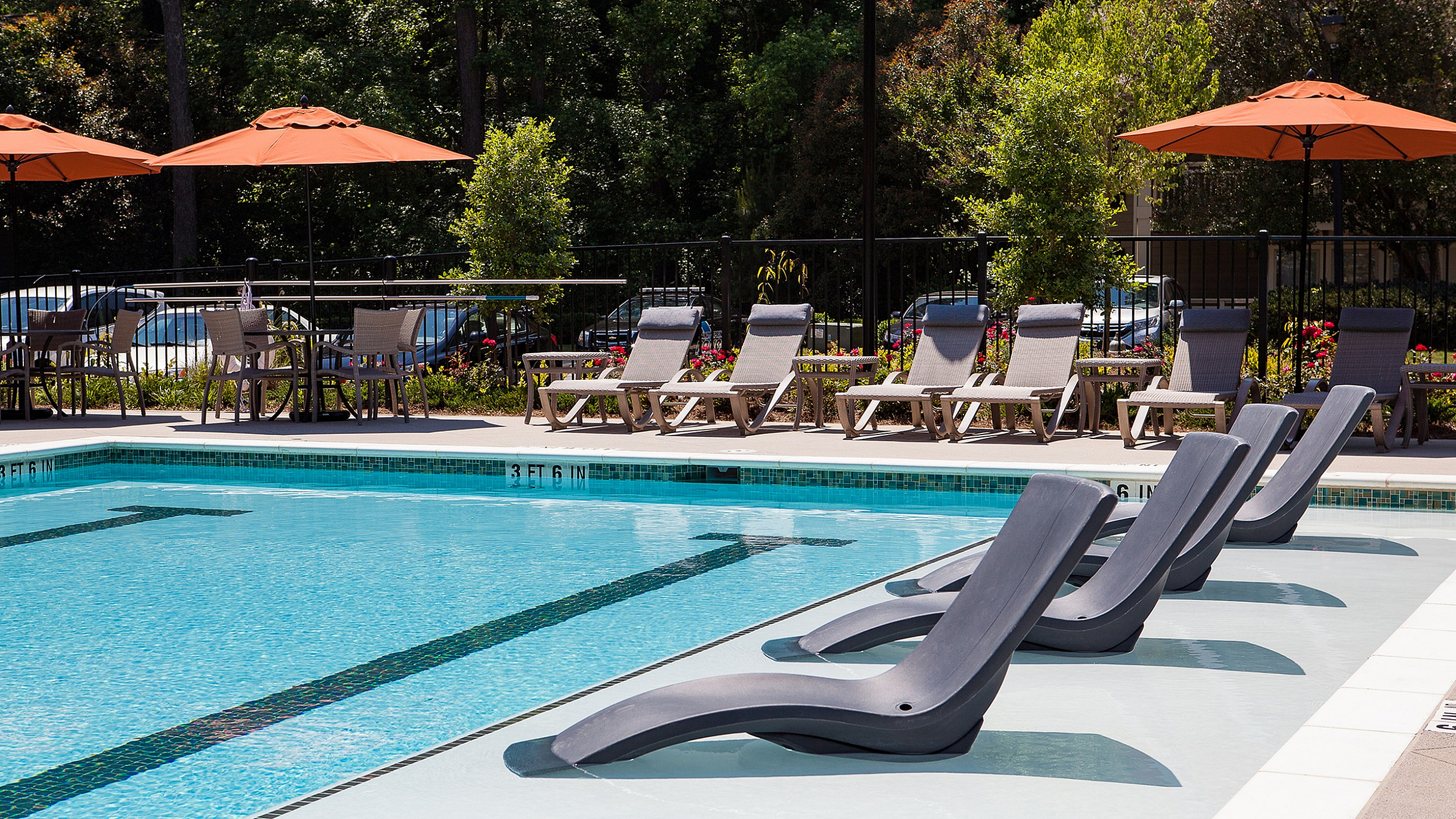 Luxury apartment pool area featuring elegant lounge chairs, vibrant umbrellas, and a serene garden backdrop, perfect for relaxation and leisure.