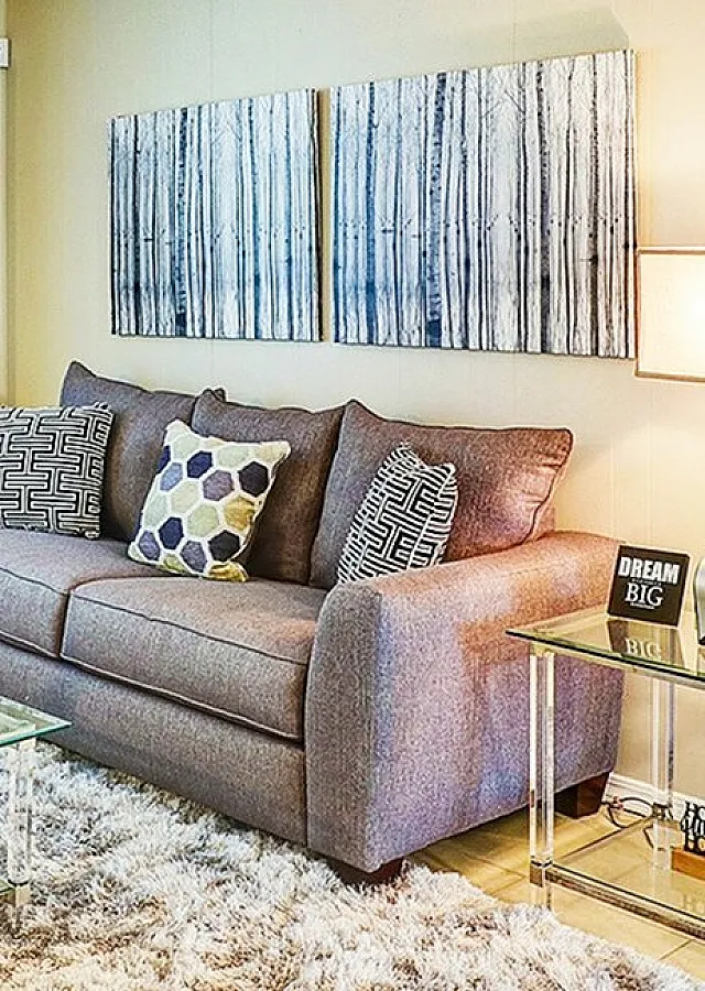 Inviting living room with stylish gray sofa, plush pillows, and vibrant decor, complemented by a modern glass coffee table and cozy textured rug.
