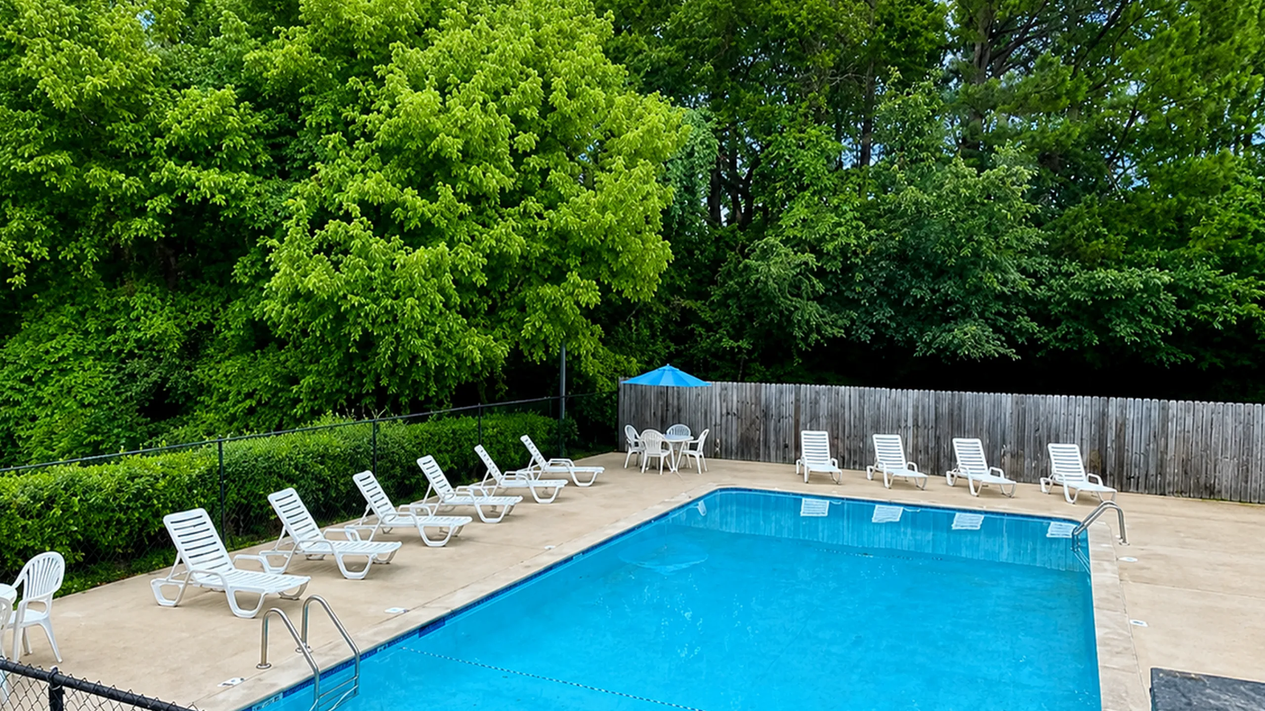 Inviting outdoor pool area surrounded by lush greenery, featuring comfortable lounge chairs and a tranquil setting.