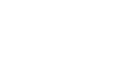 VDV White
