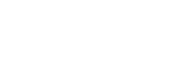 The Verge Orlando Logo