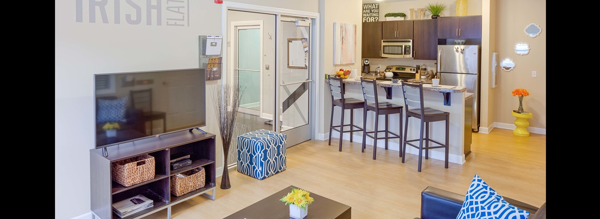 Irish Flats Living and Kitchen