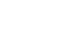 The Kingston Logo