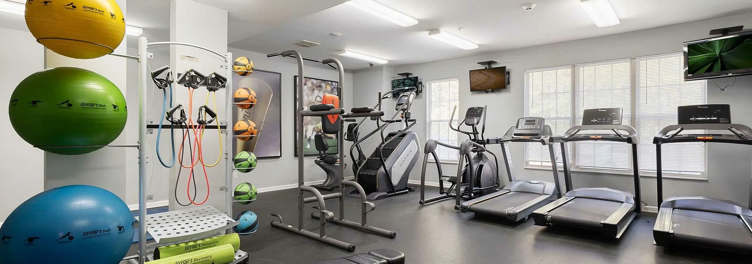 Modern fitness center featuring state-of-the-art treadmills, exercise bikes, and vibrant workout equipment, bathed in natural light.