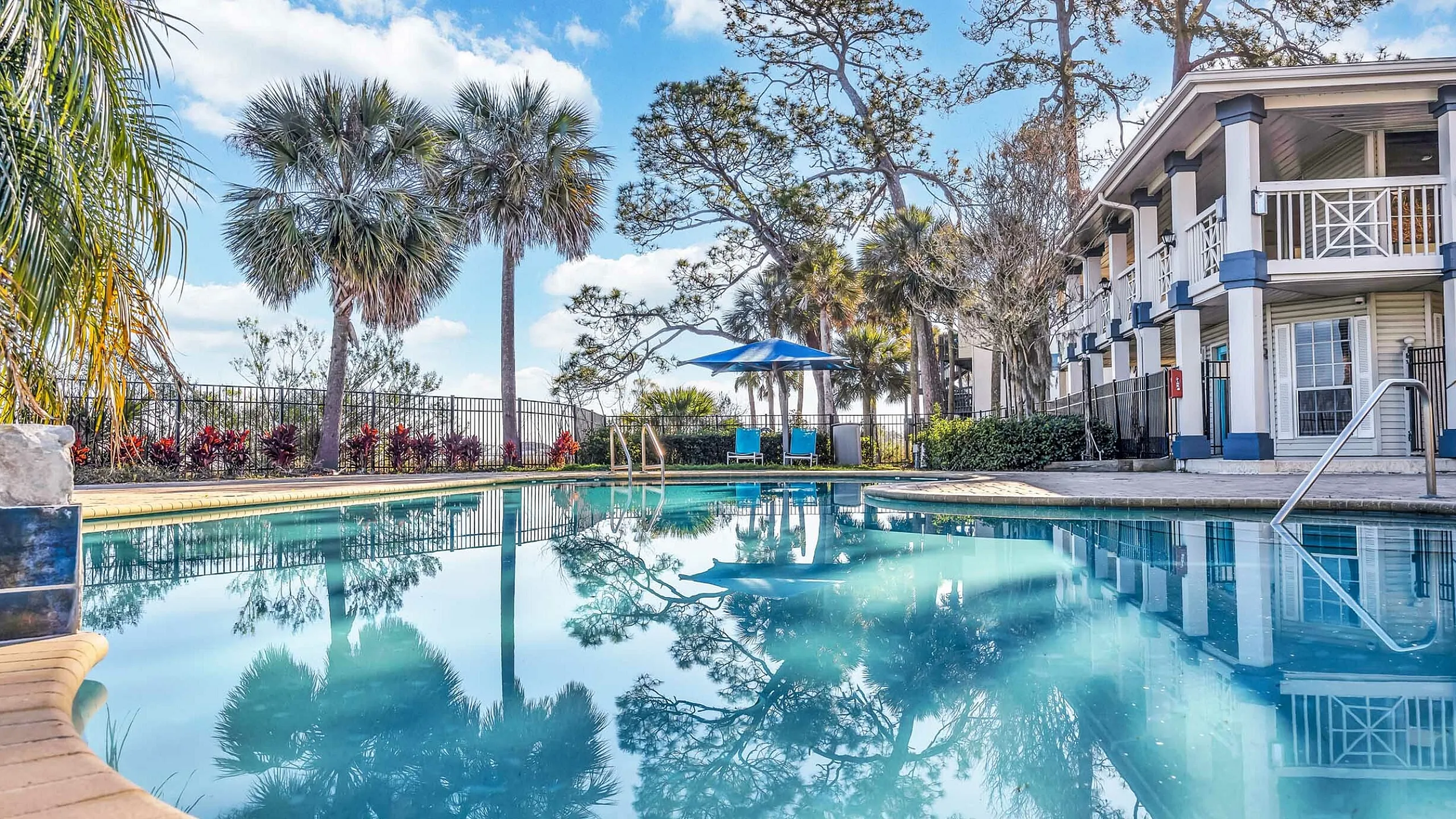 Inviting poolside view at a luxurious apartment complex, surrounded by tropical palm trees and modern architecture under a clear blue sky.