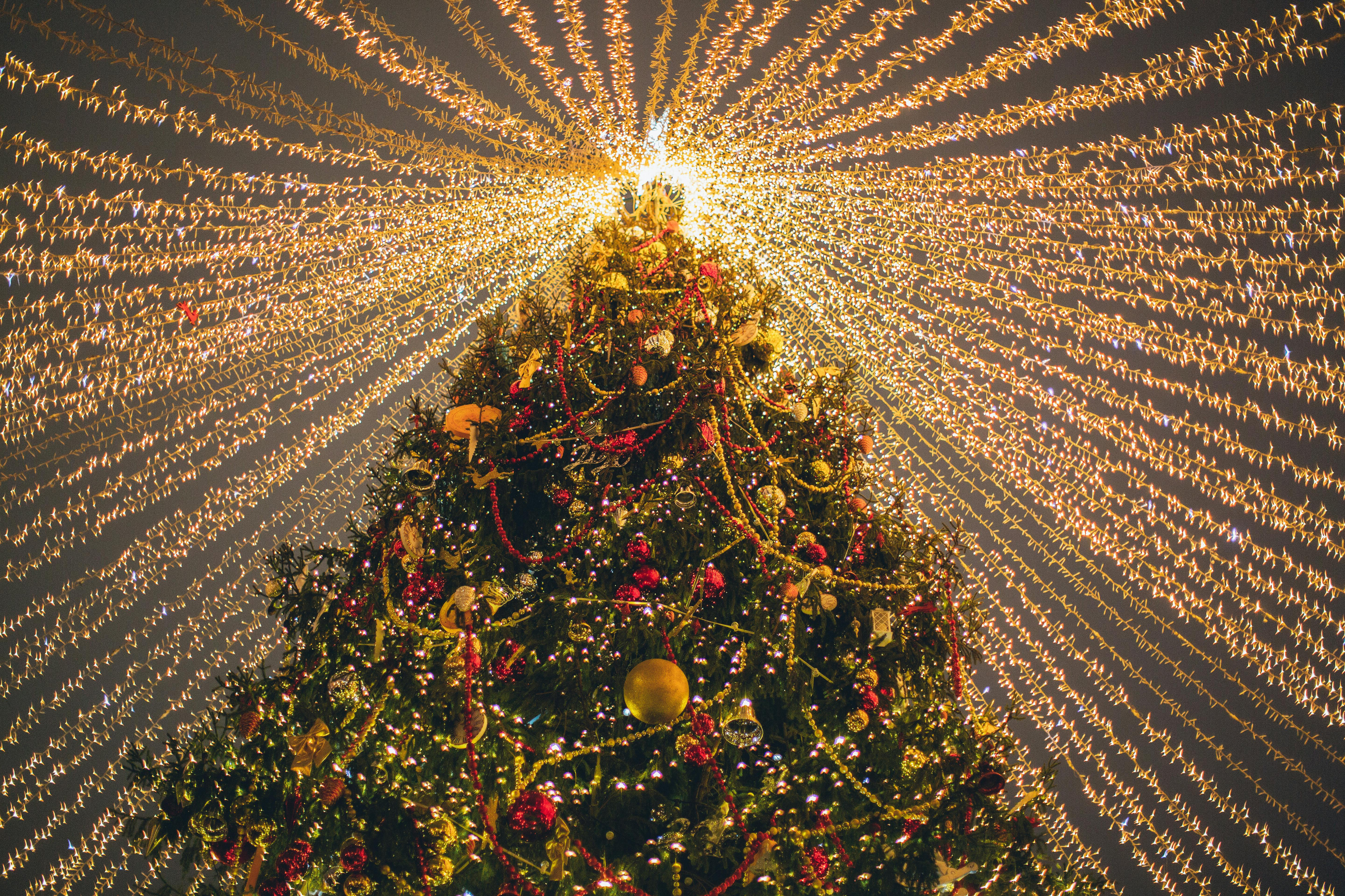 Top Winter Events to Experience in North Ogden, UT | Valora-image