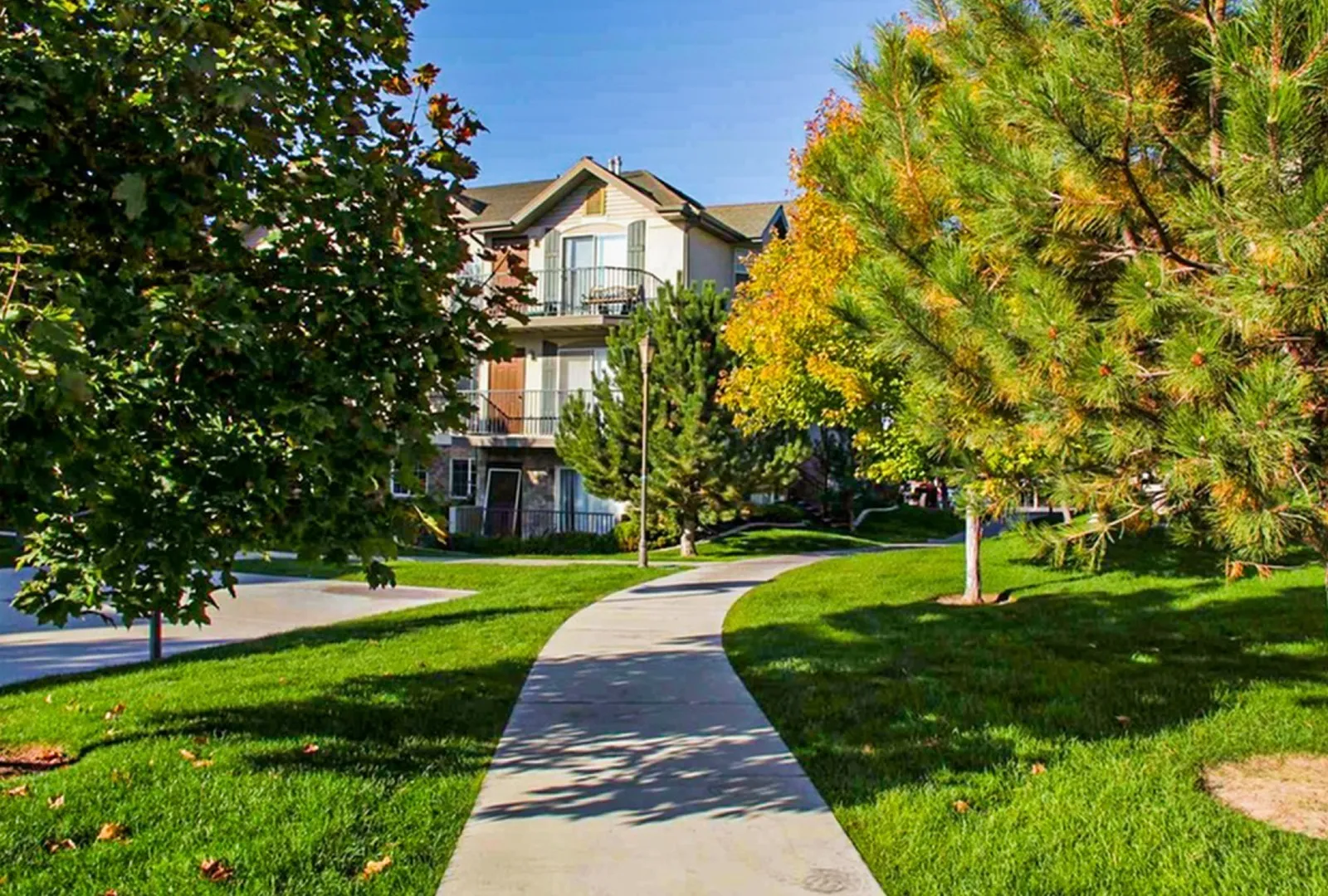 Widgets Background