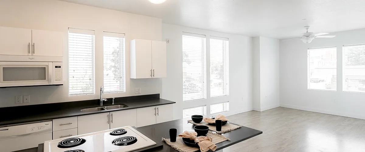 Bright and airy open-concept kitchen and living area with modern appliances, sleek countertops, and abundant natural light.