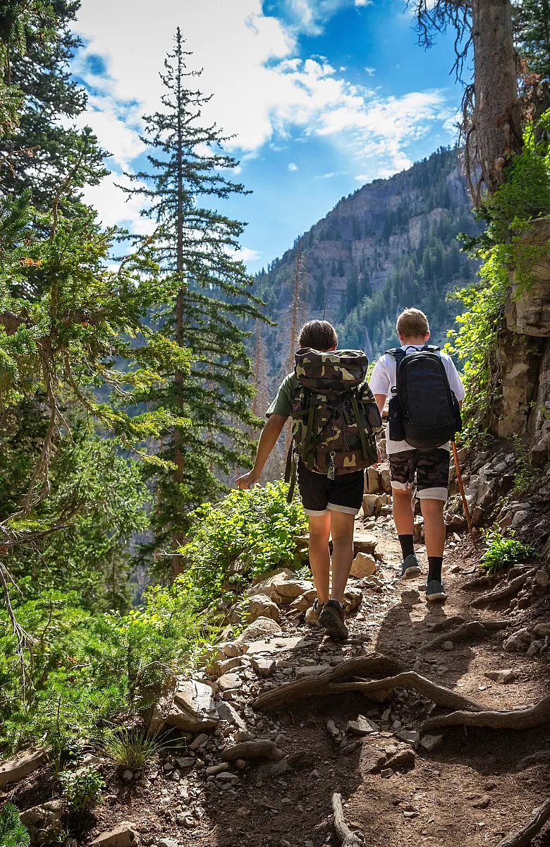 Two hikers explore a scenic mountain trail surrounded by lush forest and clear blue skies.