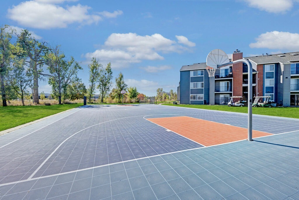 Full-Sized Basketball Court