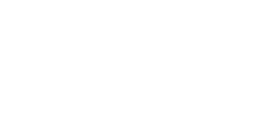 NV Logo
