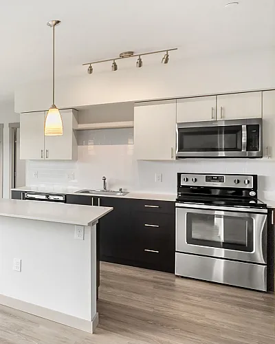 Modern Kitchen
