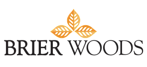 Elegant logo with three stylized orange leaves forming a triangle, symbolizing nature and growth.