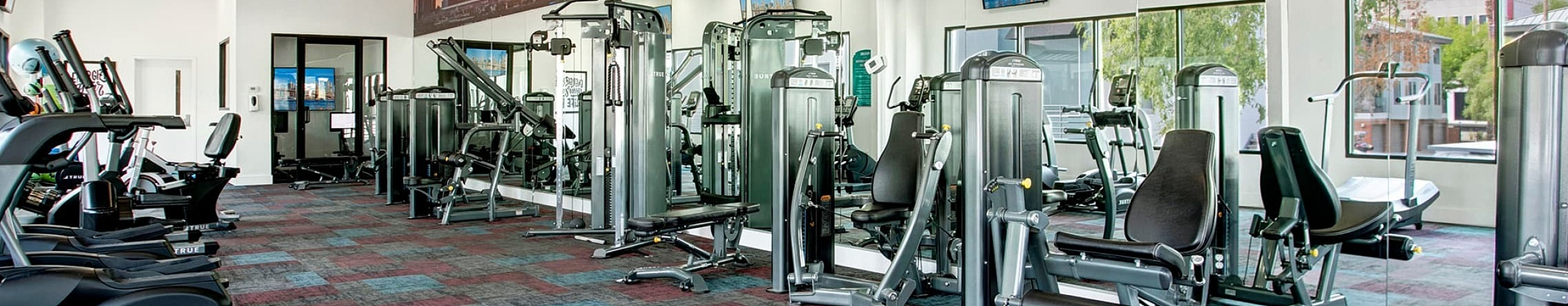 Modern fitness center with state-of-the-art gym equipment, vibrant decor, and scenic cityscape mural.