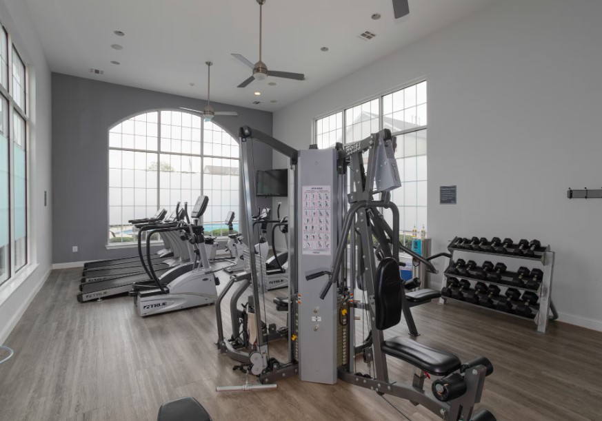 Spacious and well-lit apartment gym with modern exercise equipment, large windows, and sleek design.