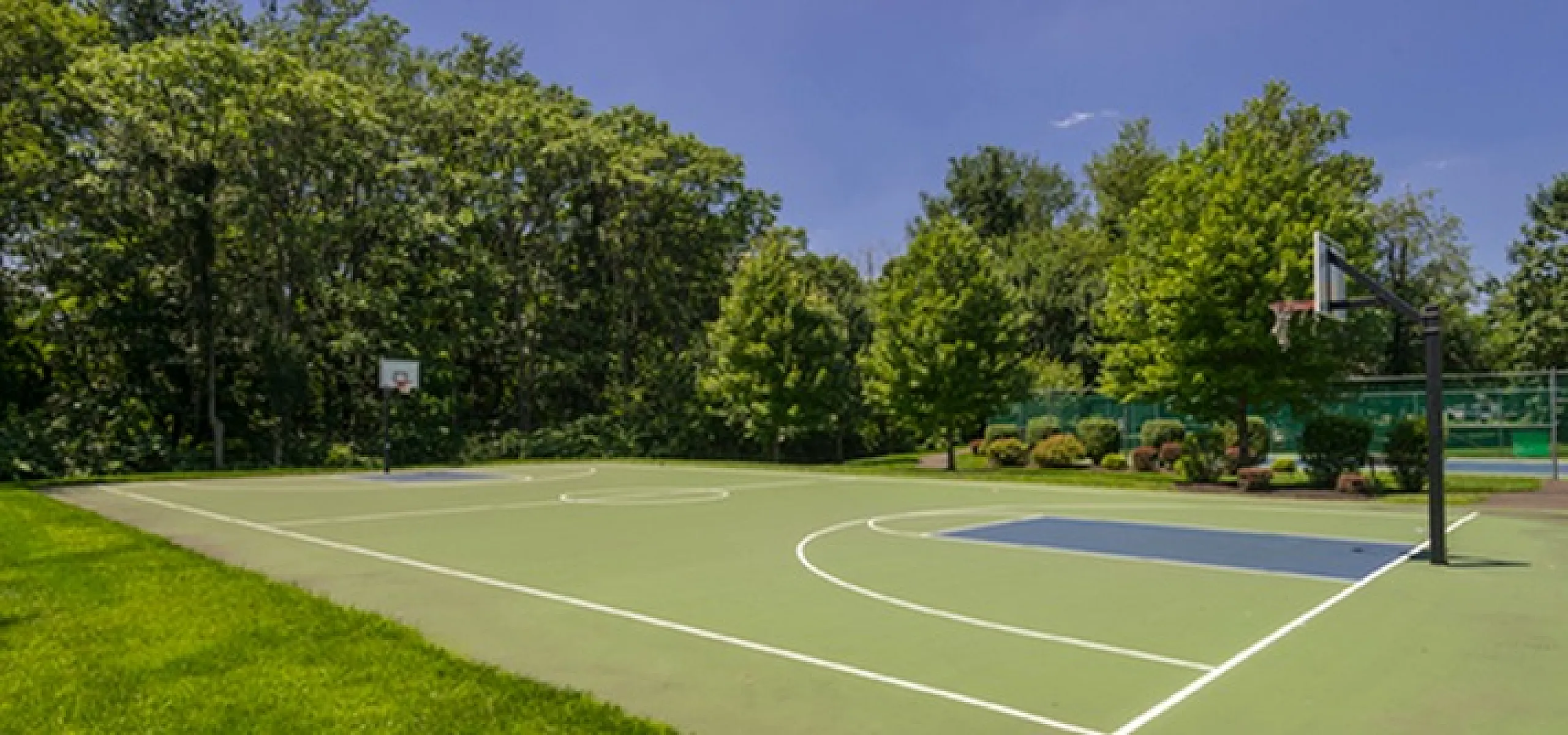 Serene outdoor basketball court surrounded by lush greenery, perfect for sports enthusiasts seeking a peaceful environment.