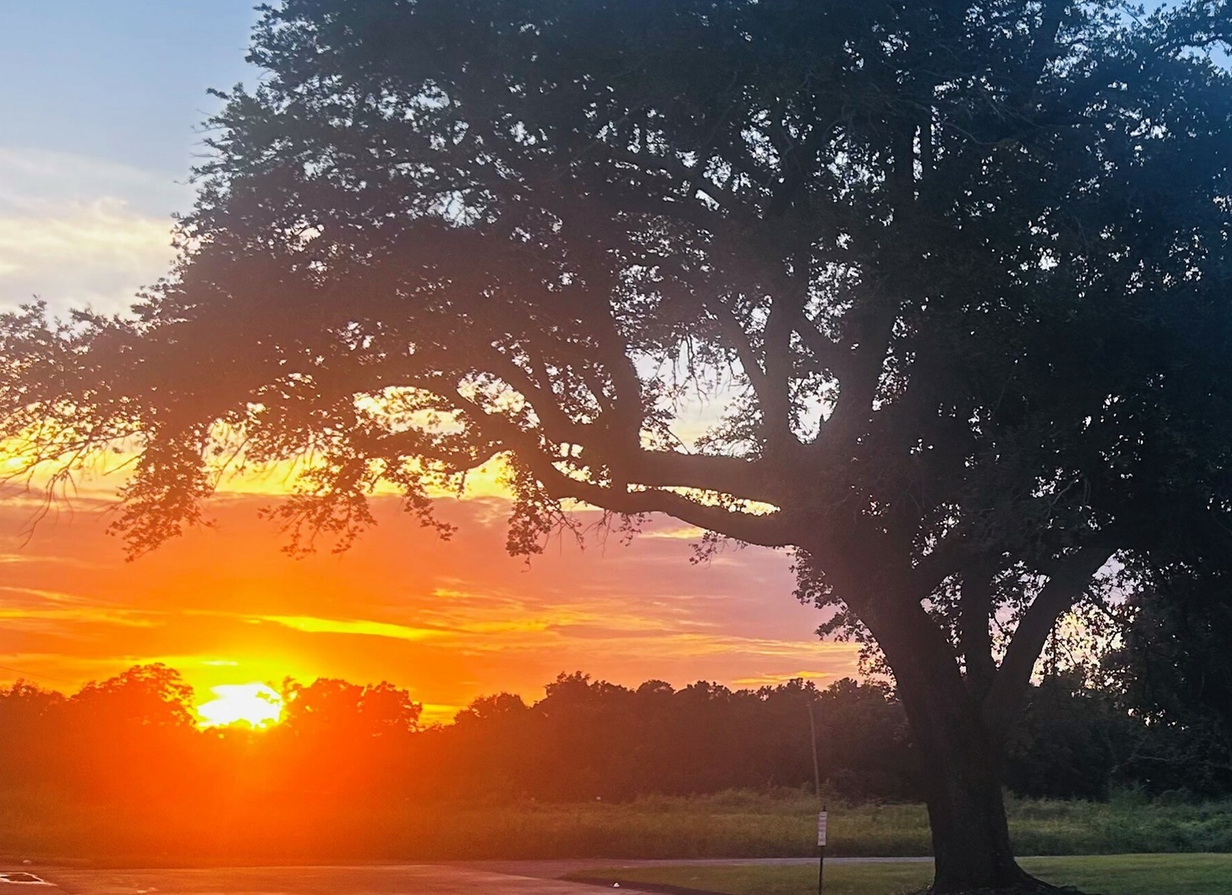 sunset