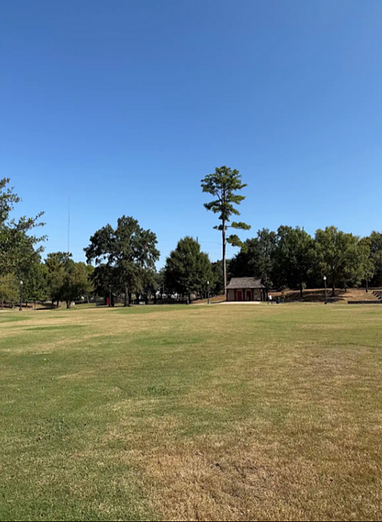 Surrounding Shot