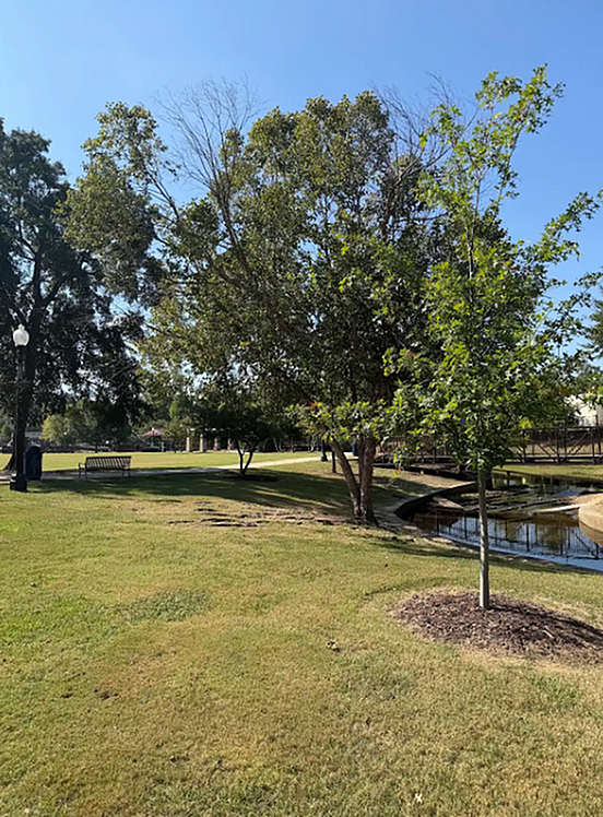 Surrounding Shot