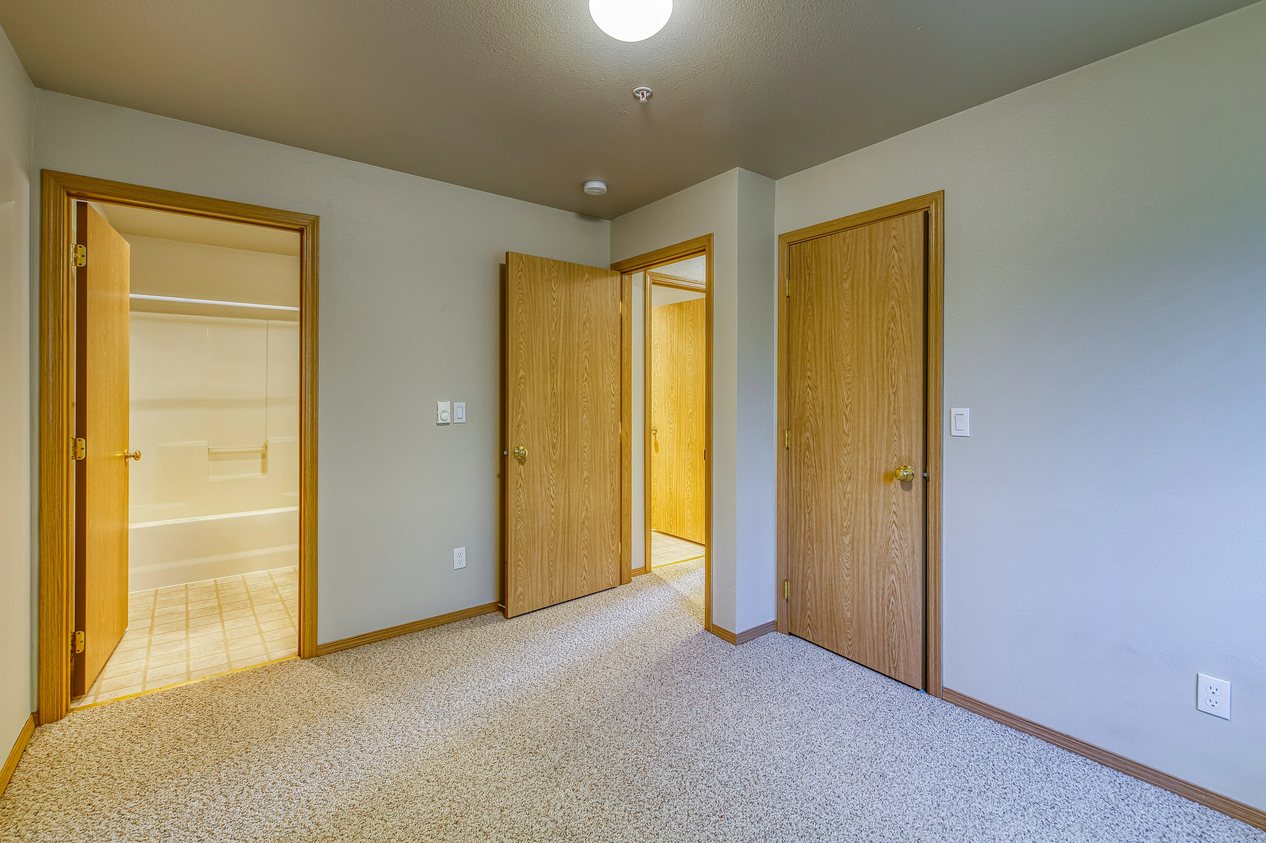 Bright and inviting room showcasing soft carpet flooring, light wood doors, and access to a modern bathroom.