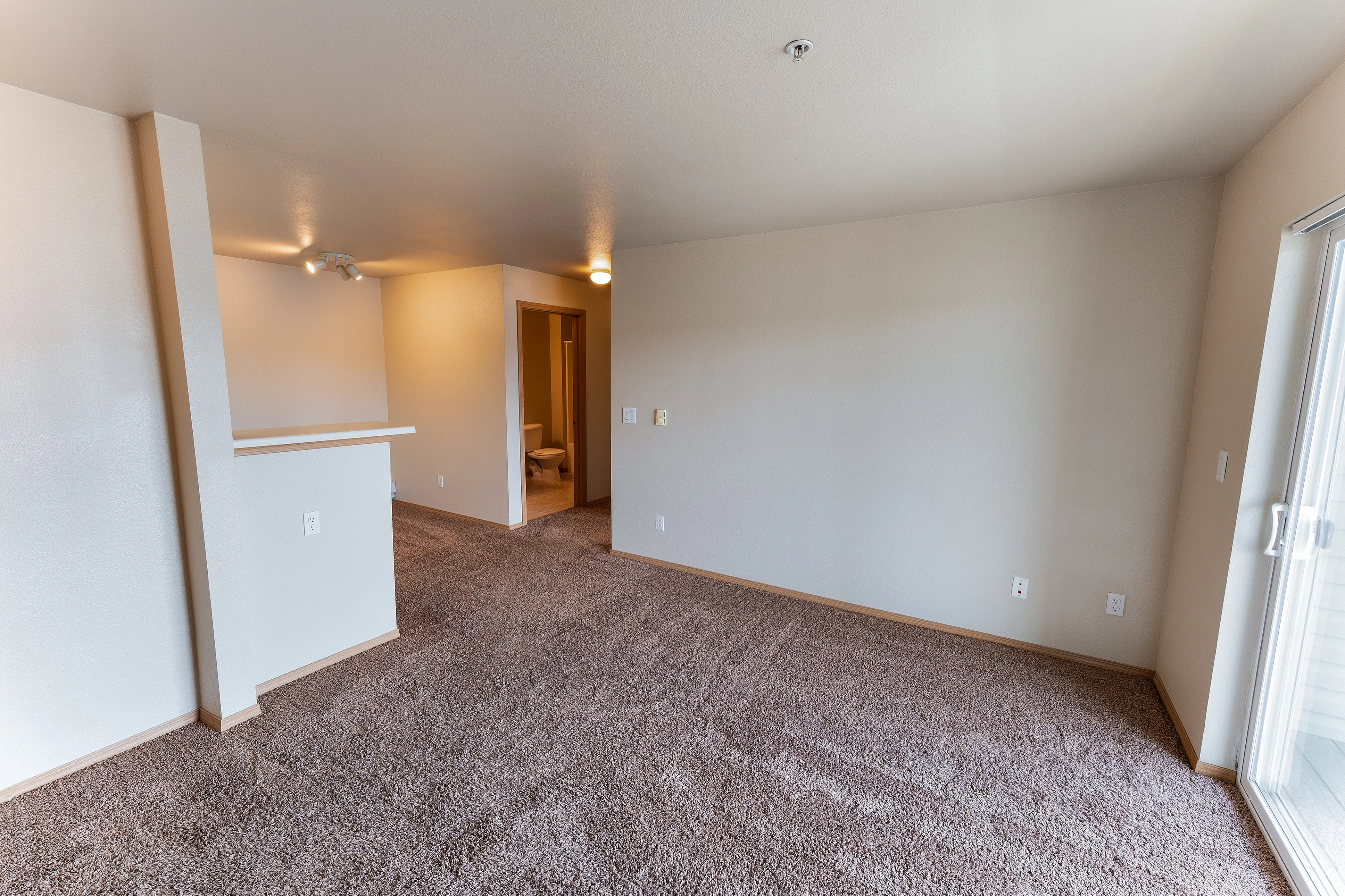 Bright and airy living space with plush carpet flooring, neutral walls, and modern lighting, perfect for relaxation or entertaining.
