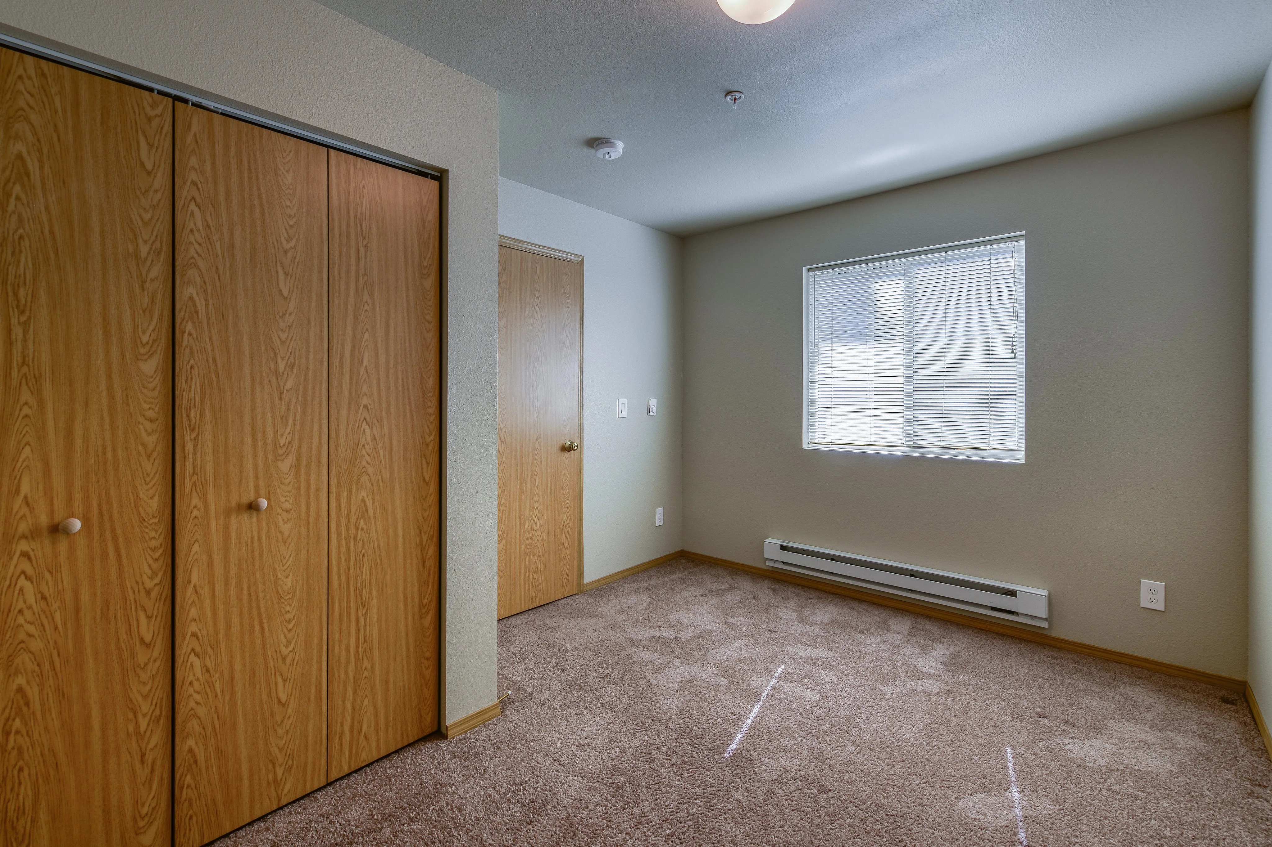 Bright and cozy bedroom featuring warm wood accents, soft carpets, and ample natural light from a sunny window.