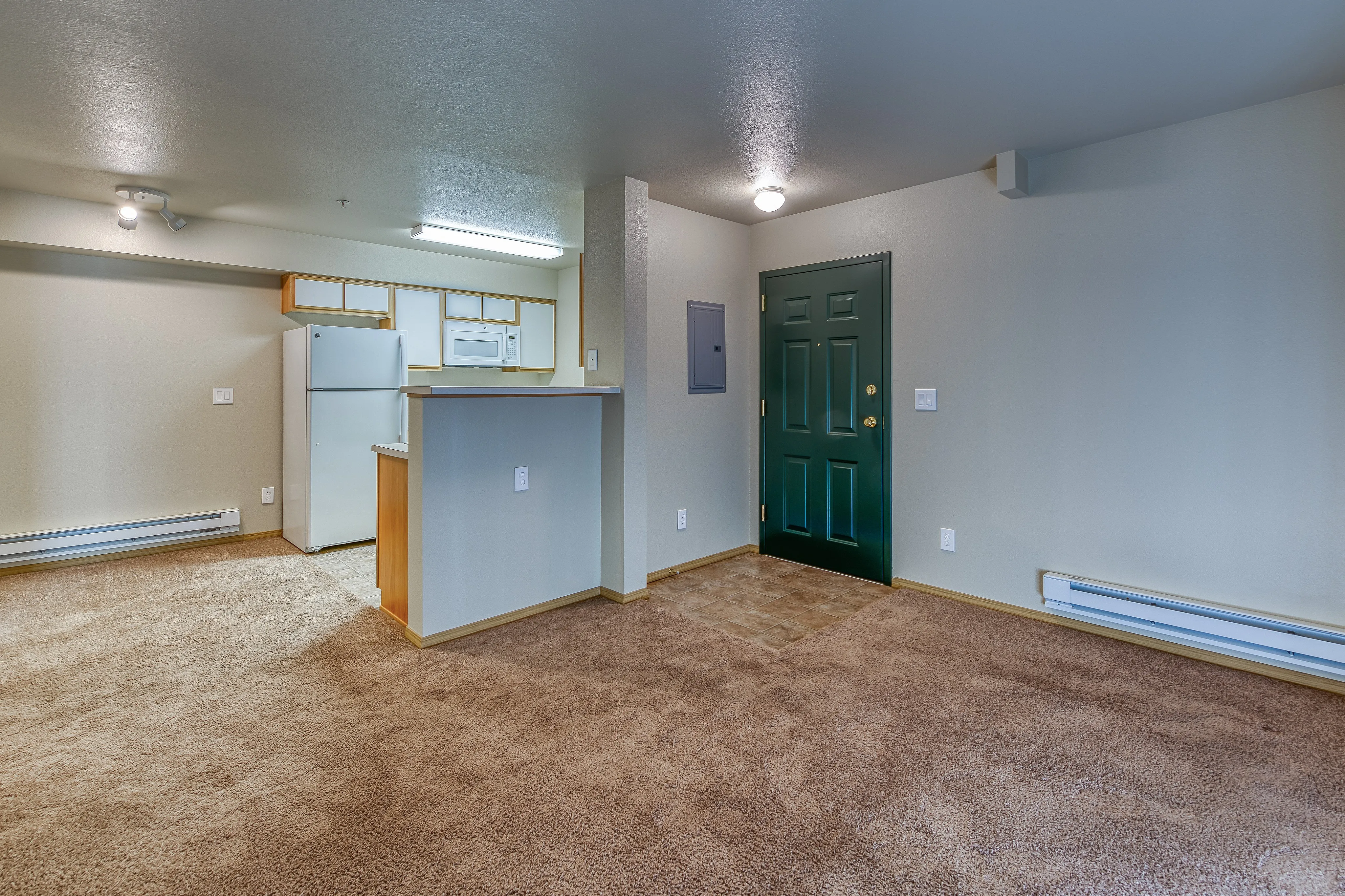 Modern apartment interior showcasing an open-concept layout, with fresh carpet, a compact kitchen, and warm neutral tones.