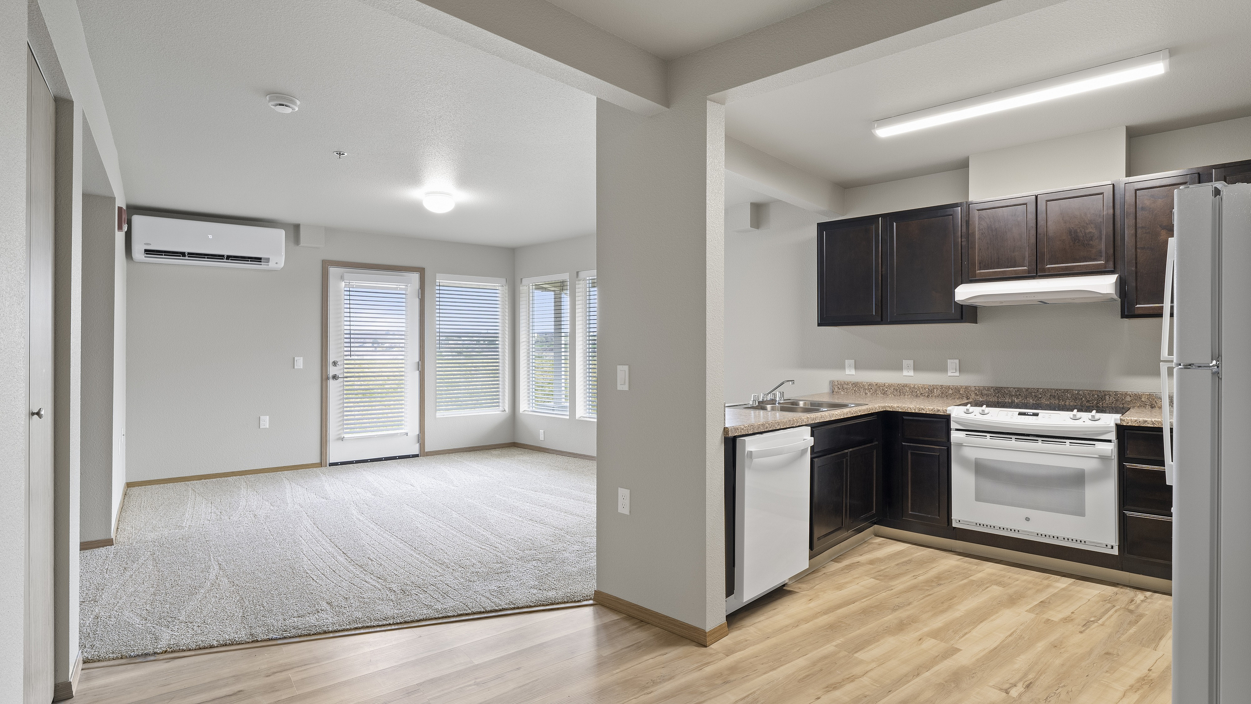 Bright and inviting open-concept apartment featuring a modern kitchen with dark cabinets, cozy carpeted living area, and large windows offering natural light.