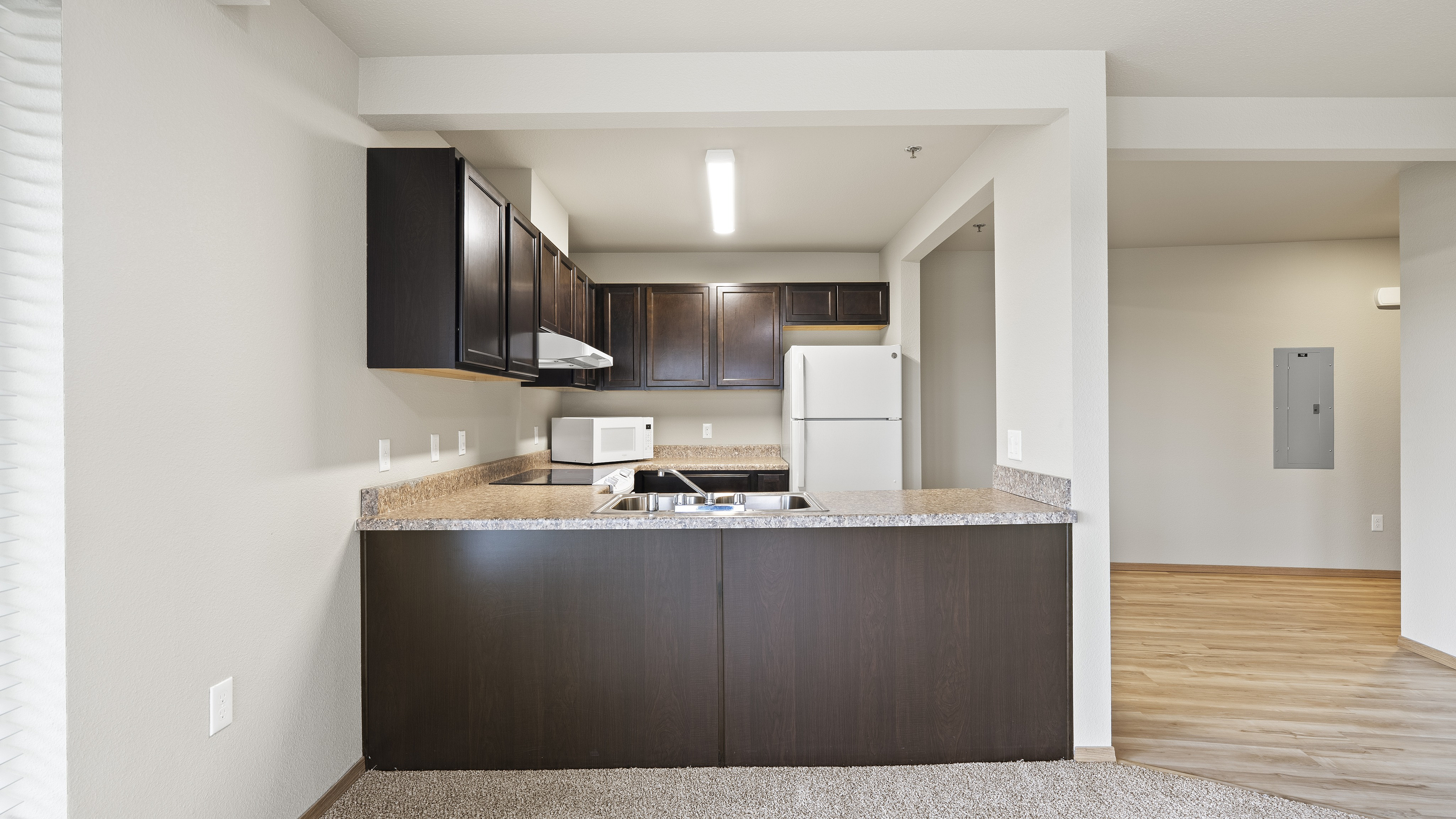 Contemporary kitchen with sleek dark cabinets, modern fixtures, and abundant counter space, opening into a bright living area with hardwood floors.
