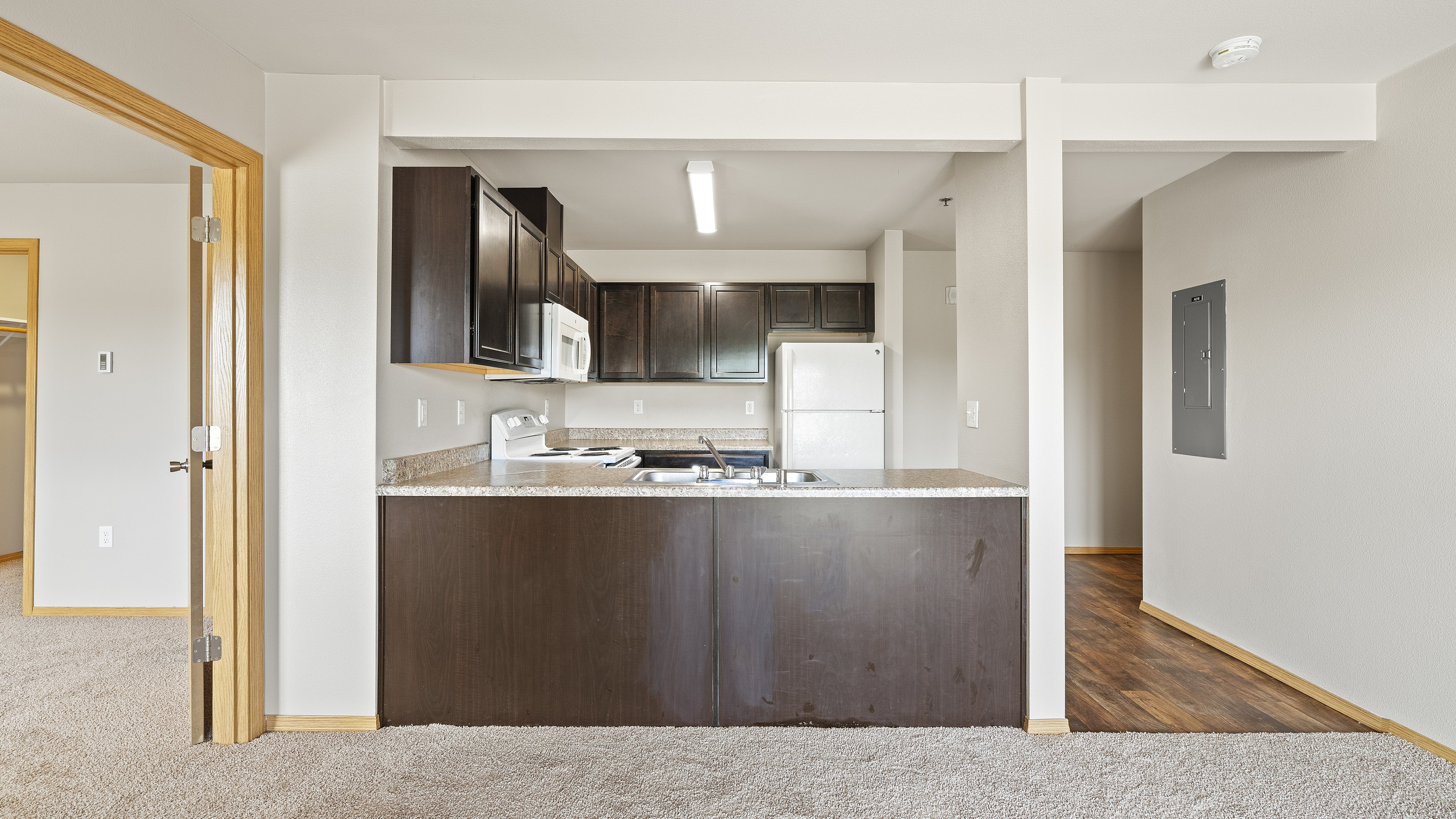Modern apartment kitchen with sleek dark cabinets, a spacious countertop, and an inviting open layout.