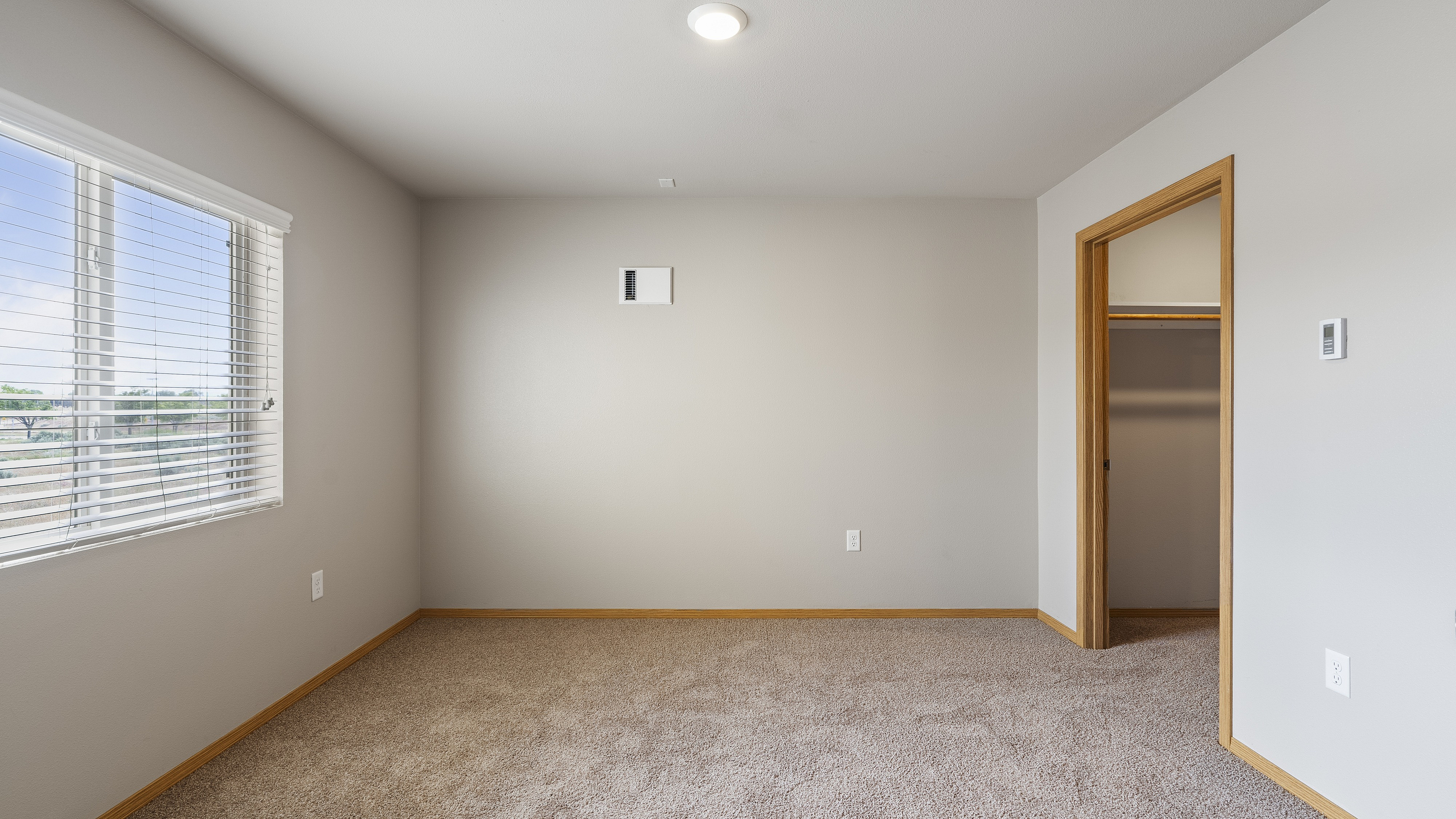 Bright and inviting room featuring plush carpet, large window with blinds, and an open walk-in closet.