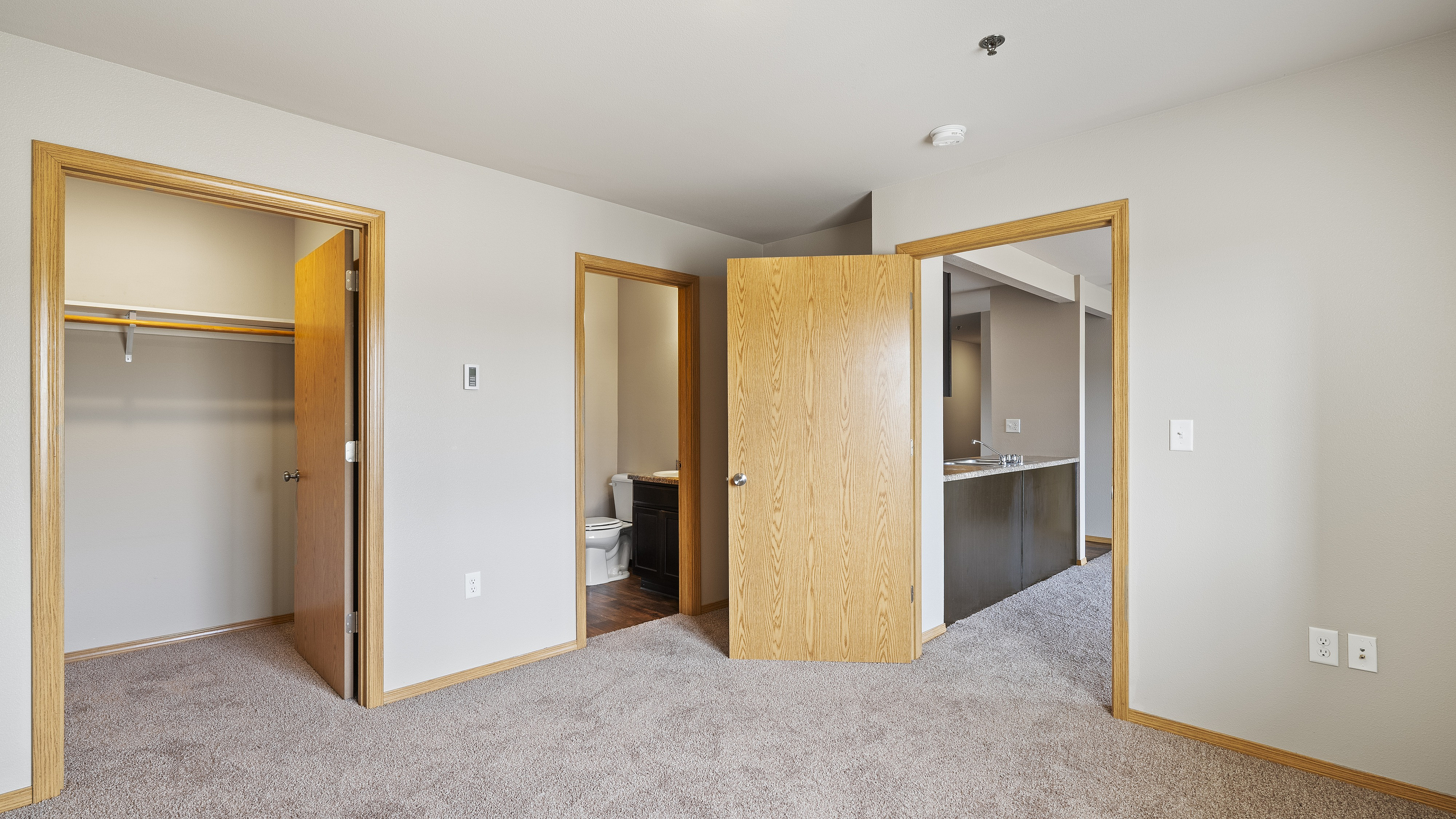 Inviting room with plush carpet, featuring a spacious closet, bathroom access, and a glimpse into the modern kitchen area with wooden accents.