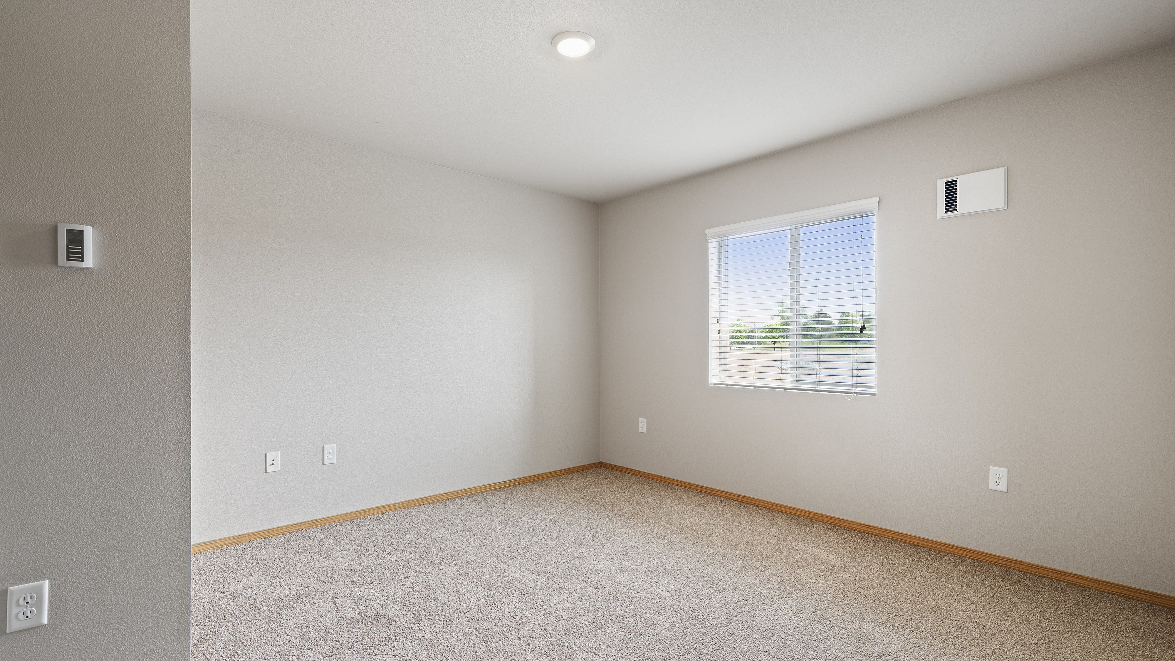 Bright and airy room with plush carpeting and natural light from a large window, creating an inviting and cozy atmosphere.